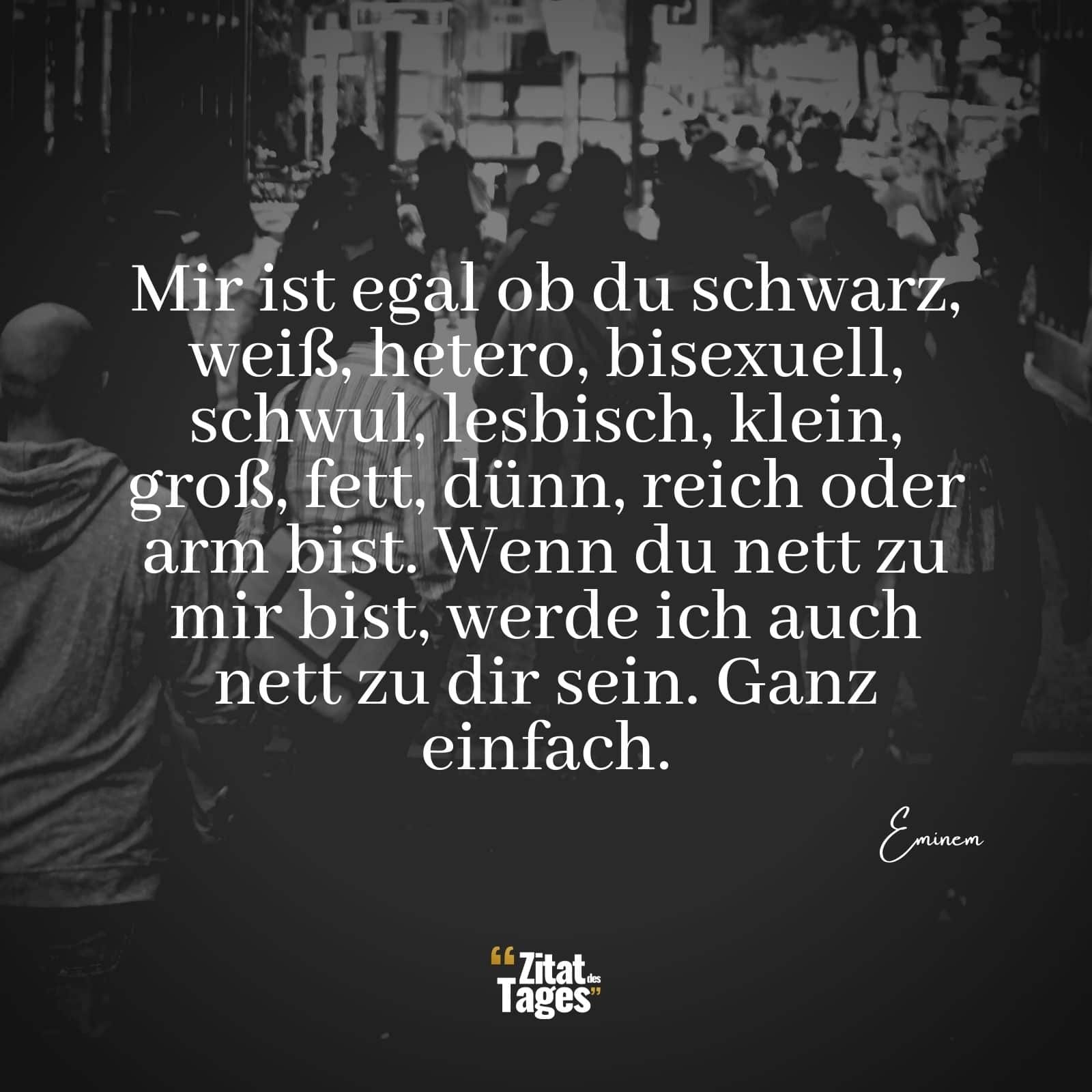 Mir ist egal ob du schwarz, weiß, hetero, bisexuell, schwul, lesbisch, klein, groß, fett, dünn, reich oder arm bist. Wenn du nett zu mir bist, werde ich auch nett zu dir sein. Ganz einfach. - Eminem