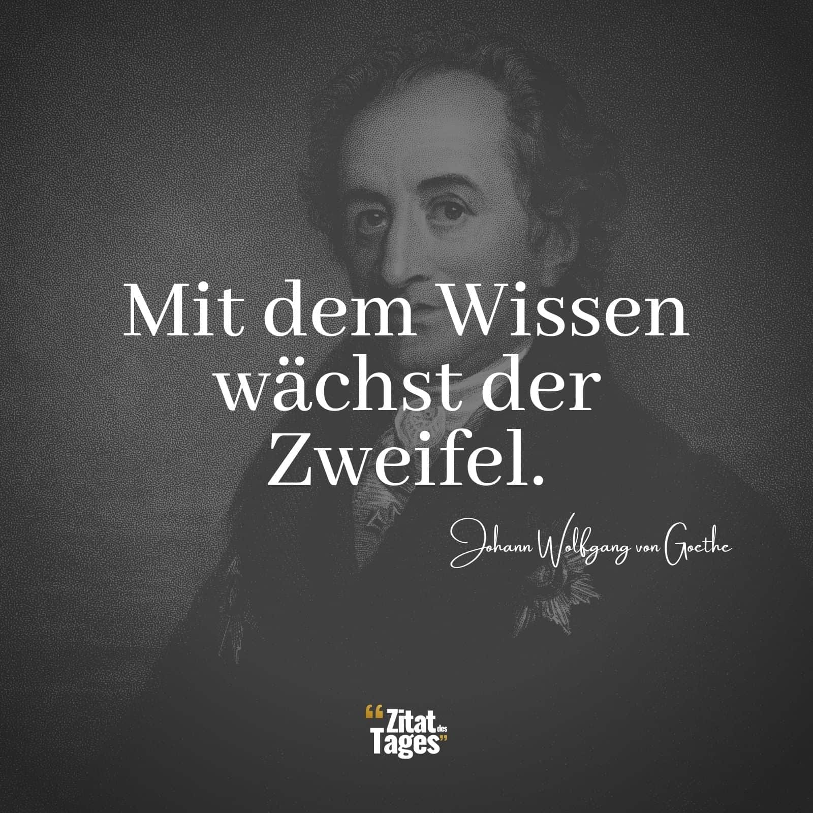 Mit dem Wissen wächst der Zweifel. - Johann Wolfgang von Goethe