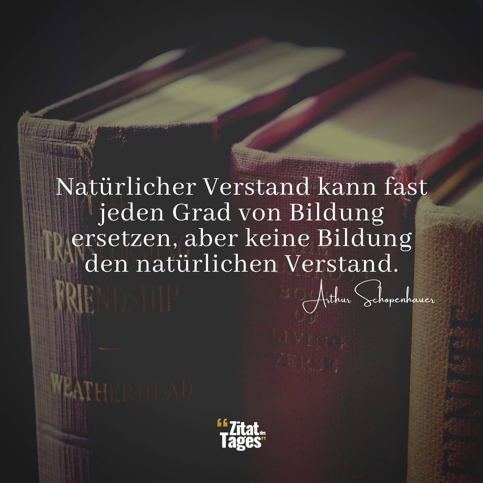 Natürlicher Verstand kann fast jeden Grad von Bildung ersetzen, aber keine Bildung den natürlichen Verstand. - Arthur Schopenhauer