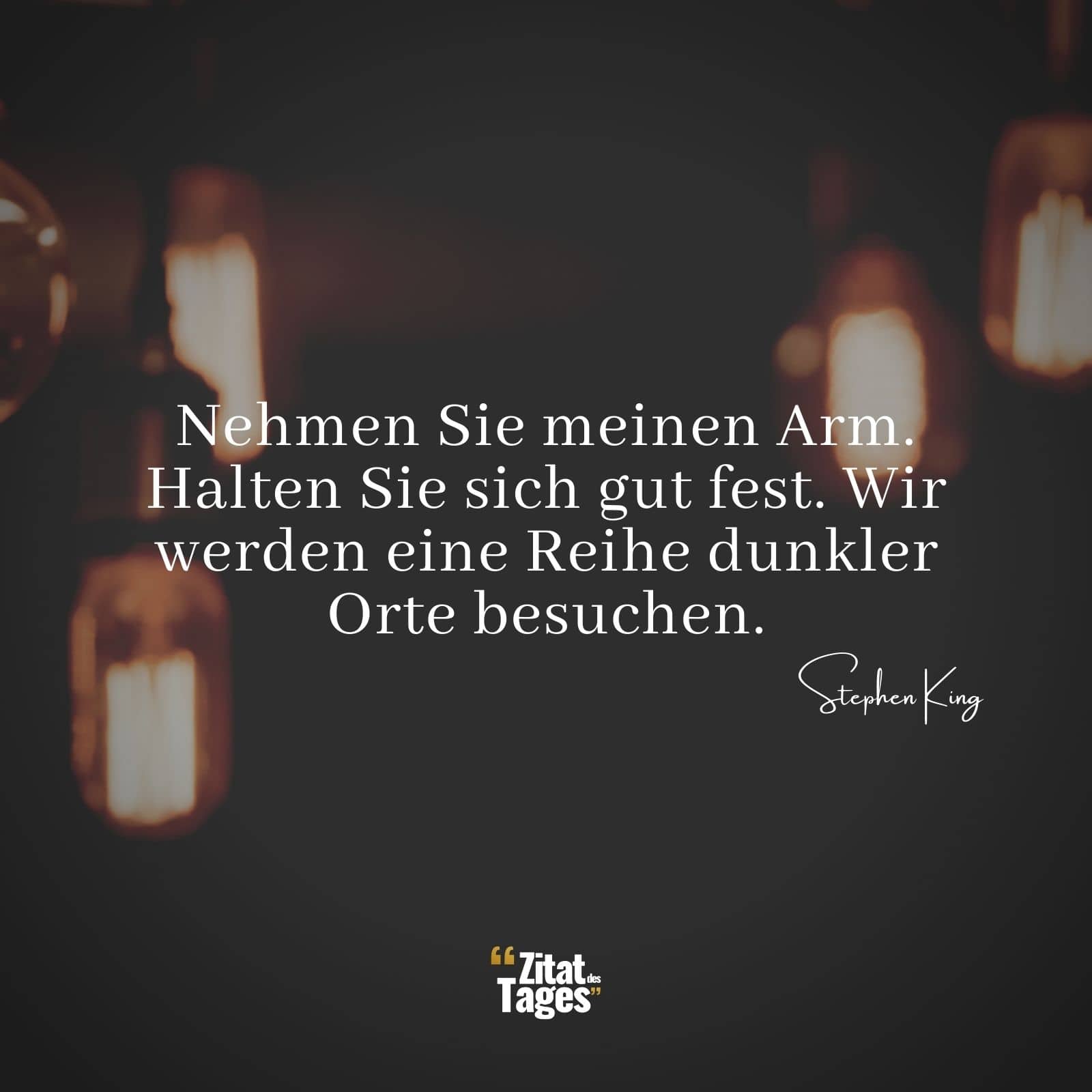 Nehmen Sie meinen Arm. Halten Sie sich gut fest. Wir werden eine Reihe dunkler Orte besuchen. - Stephen King