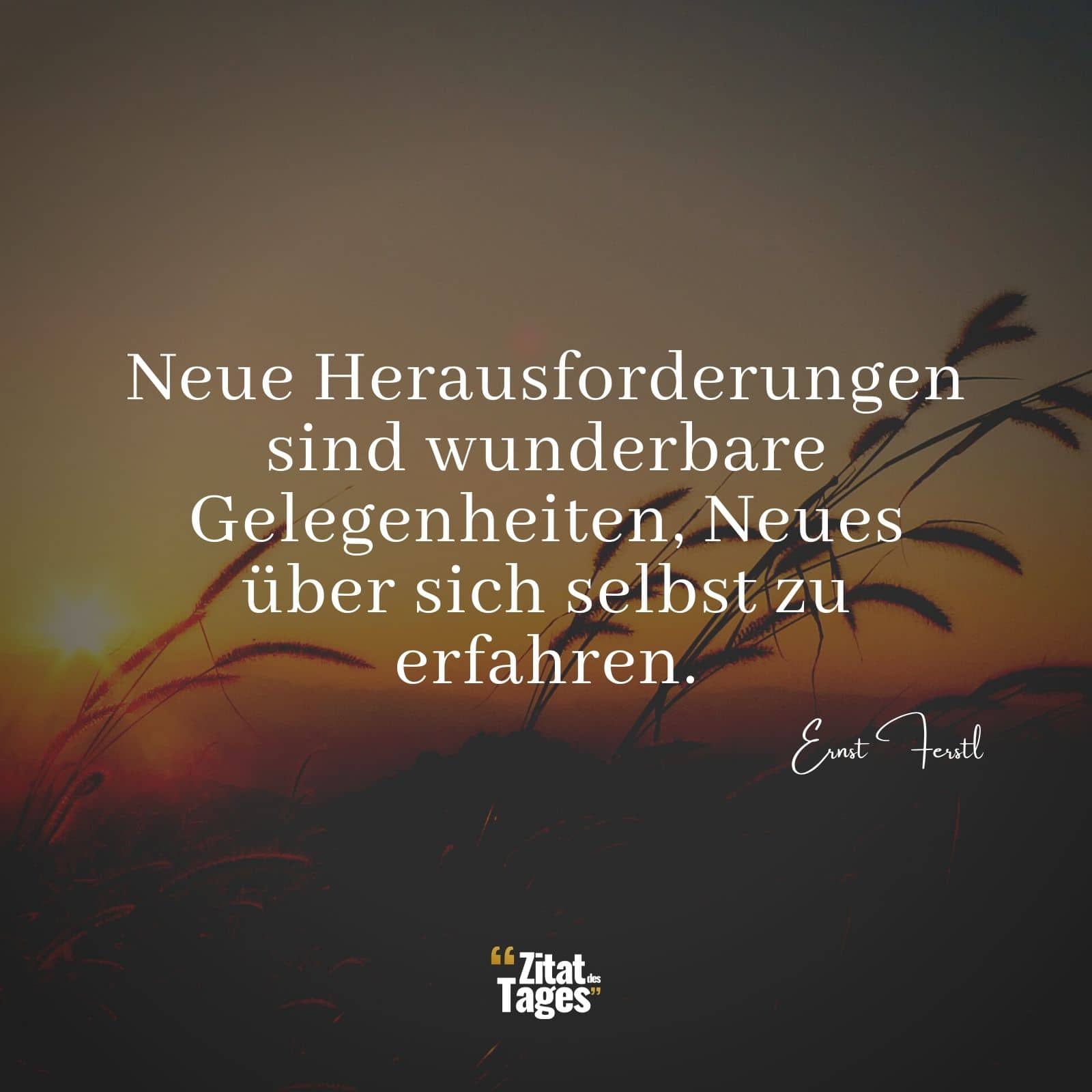 Neue Herausforderungen sind wunderbare Gelegenheiten, Neues über sich selbst zu erfahren. - Ernst Ferstl