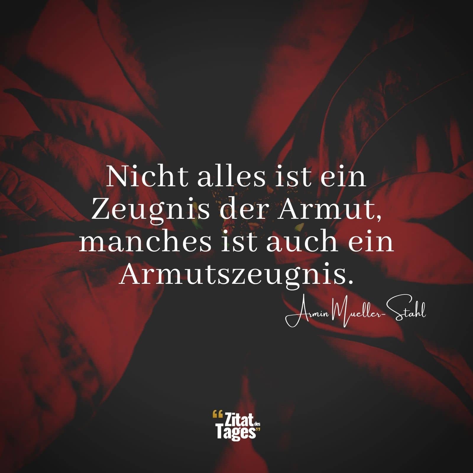 Nicht alles ist ein Zeugnis der Armut, manches ist auch ein Armutszeugnis. - Armin Mueller-Stahl