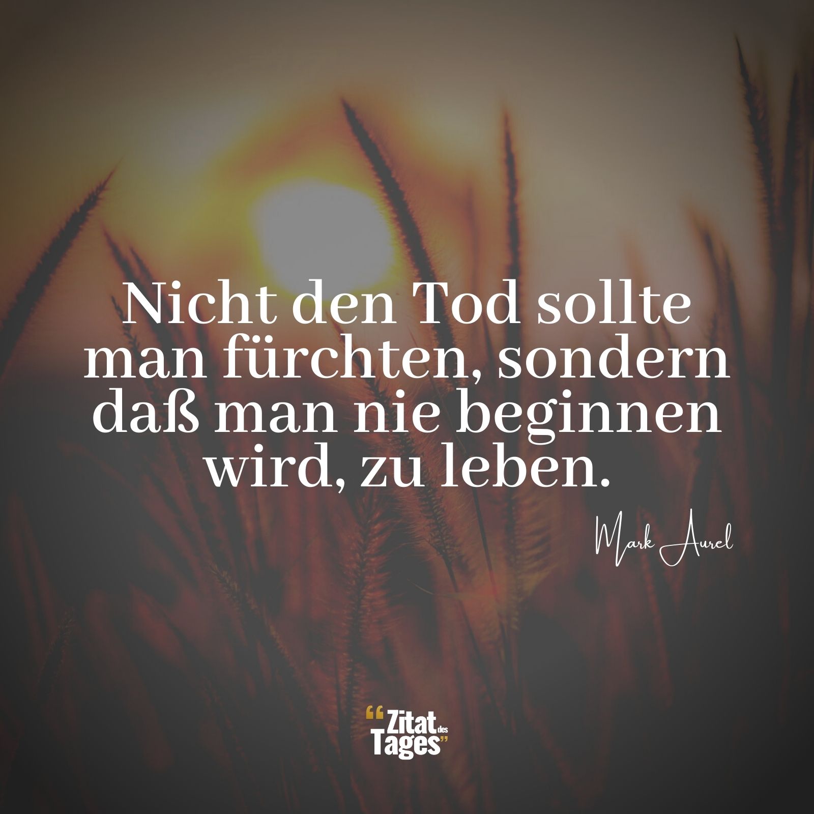 Nicht den Tod sollte man fürchten, sondern daß man nie beginnen wird, zu leben. - Mark Aurel