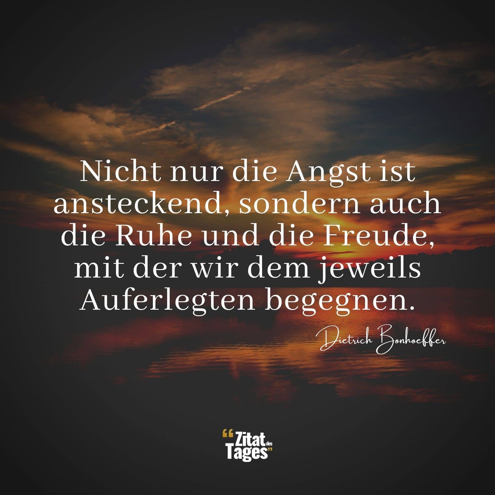 Nicht nur die Angst ist ansteckend, sondern auch die Ruhe und die Freude, mit der wir dem jeweils Auferlegten begegnen. - Dietrich Bonhoeffer