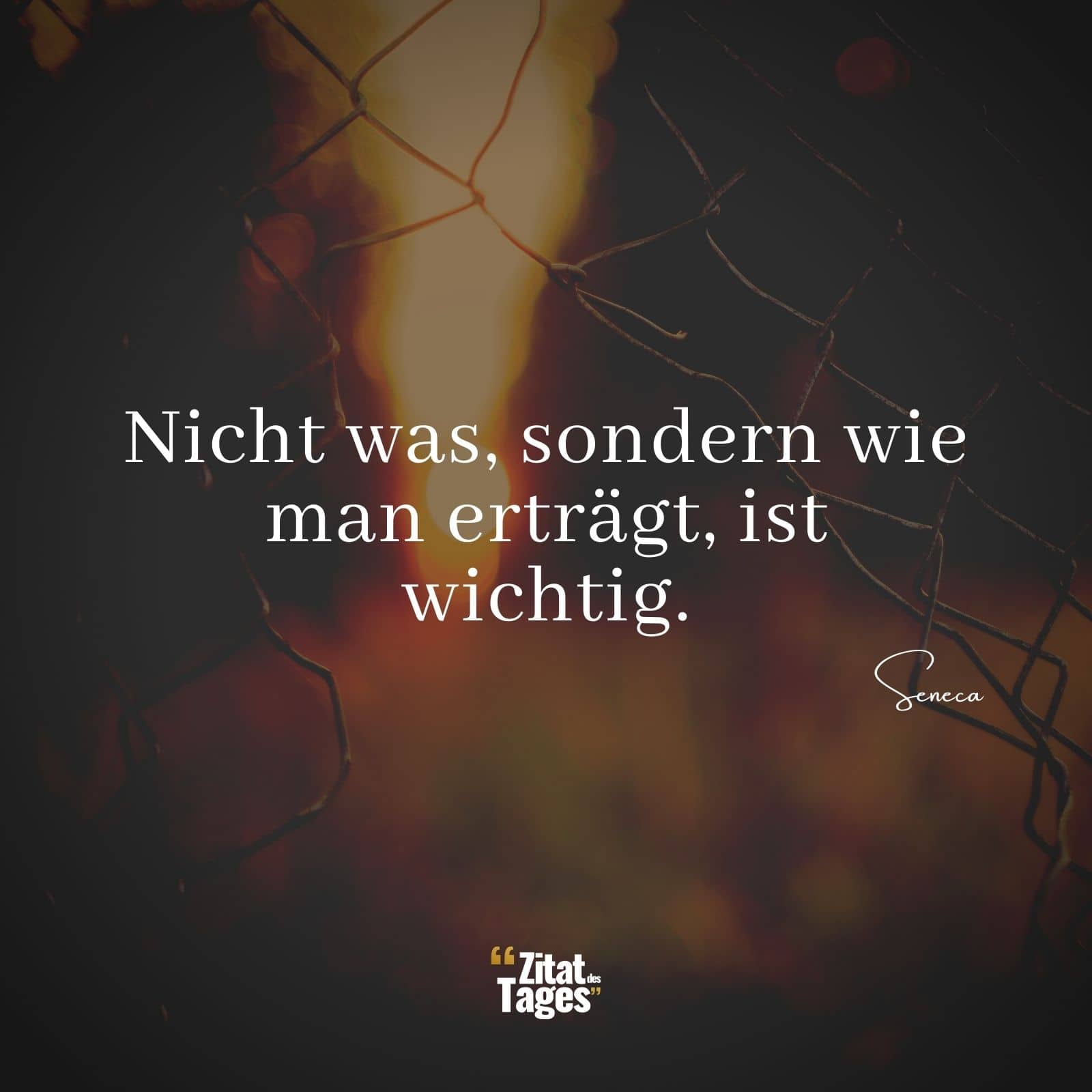 Nicht was, sondern wie man erträgt, ist wichtig. - Seneca