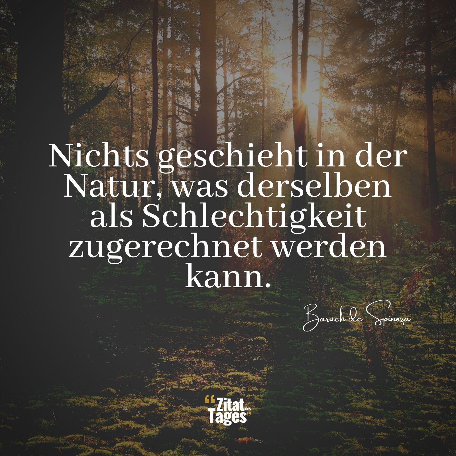 Nichts geschieht in der Natur, was derselben als Schlechtigkeit zugerechnet werden kann. - Baruch de Spinoza