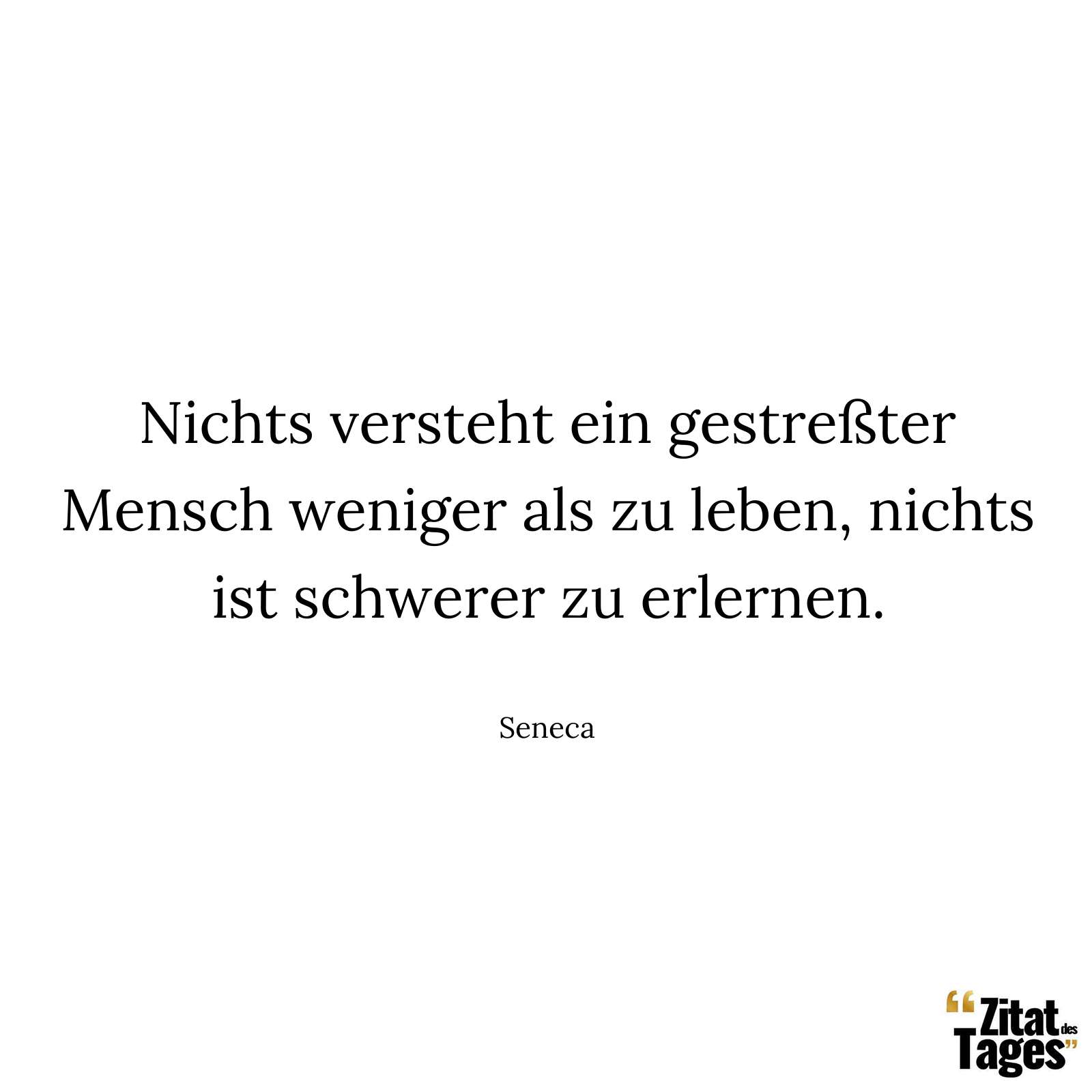 Nichts versteht ein gestreßter Mensch weniger als zu leben, nichts ist schwerer zu erlernen. - Seneca