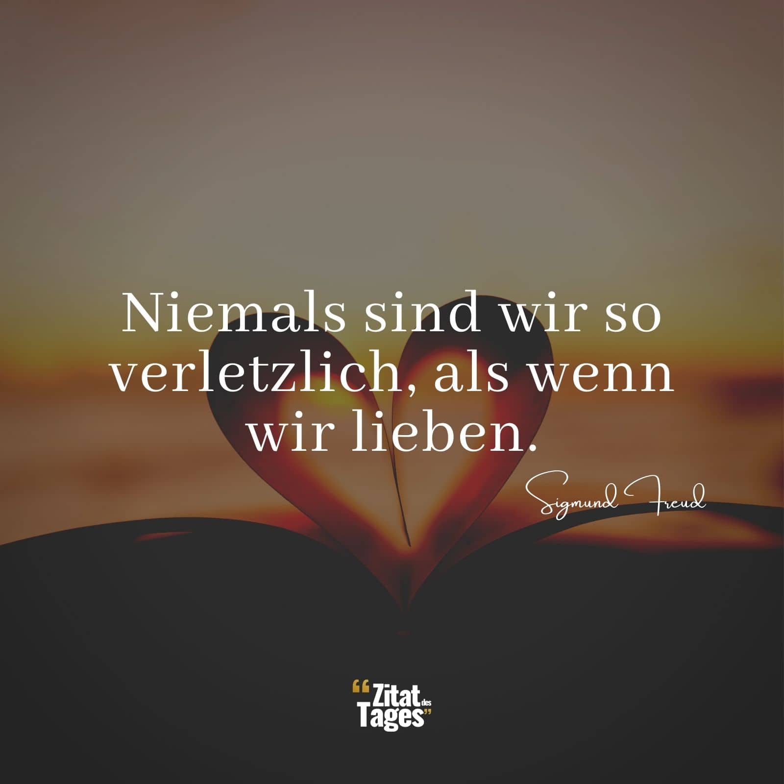 Niemals sind wir so verletzlich, als wenn wir lieben. - Sigmund Freud