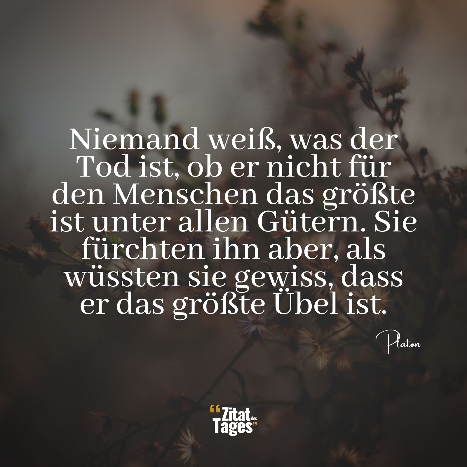 Niemand weiß, was der Tod ist, ob er nicht für den Menschen das größte ist unter allen Gütern. Sie fürchten ihn aber, als wüssten sie gewiss, dass er das größte Übel ist. - Platon