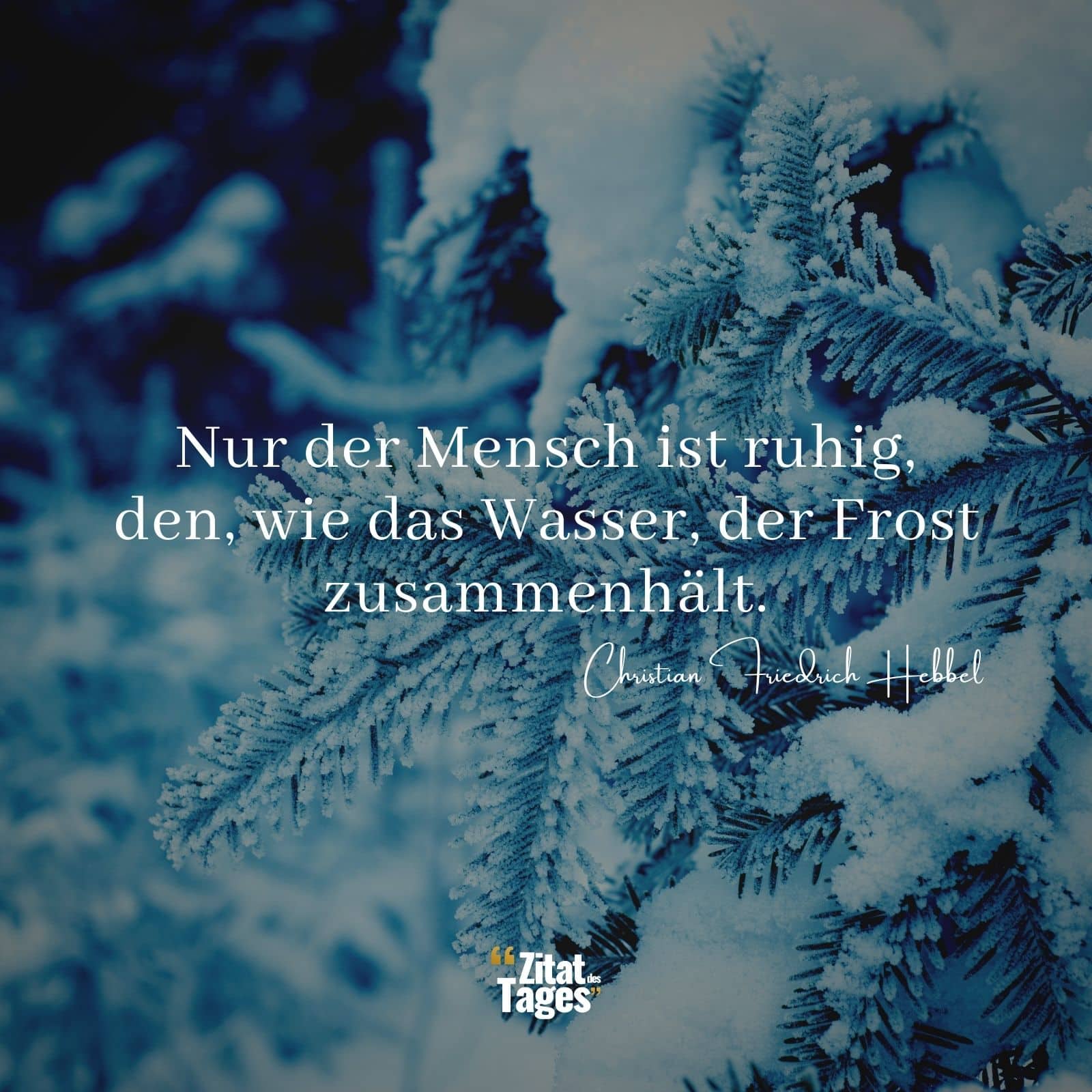 Nur der Mensch ist ruhig, den, wie das Wasser, der Frost zusammenhält. - Christian Friedrich Hebbel