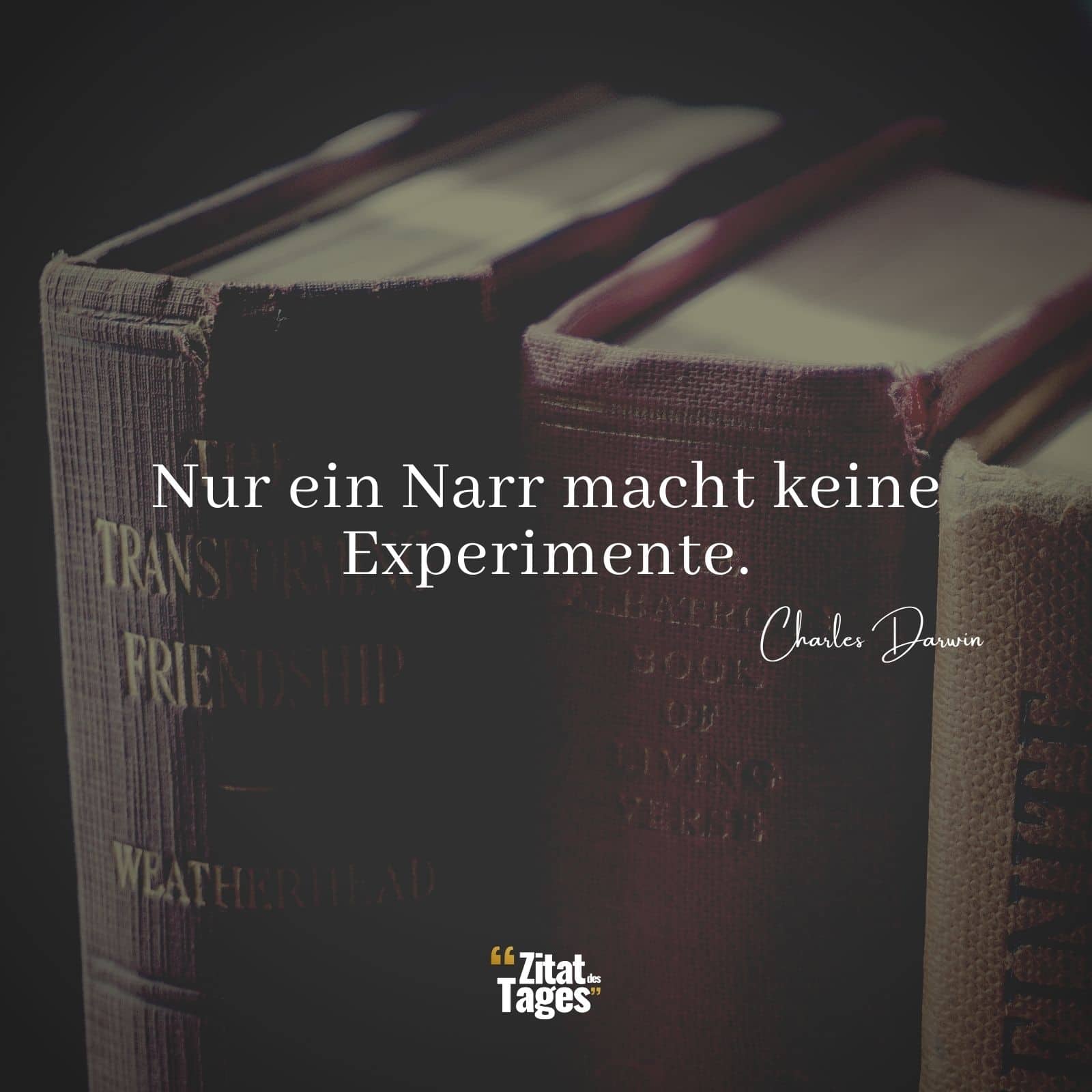 Nur ein Narr macht keine Experimente. - Charles Darwin