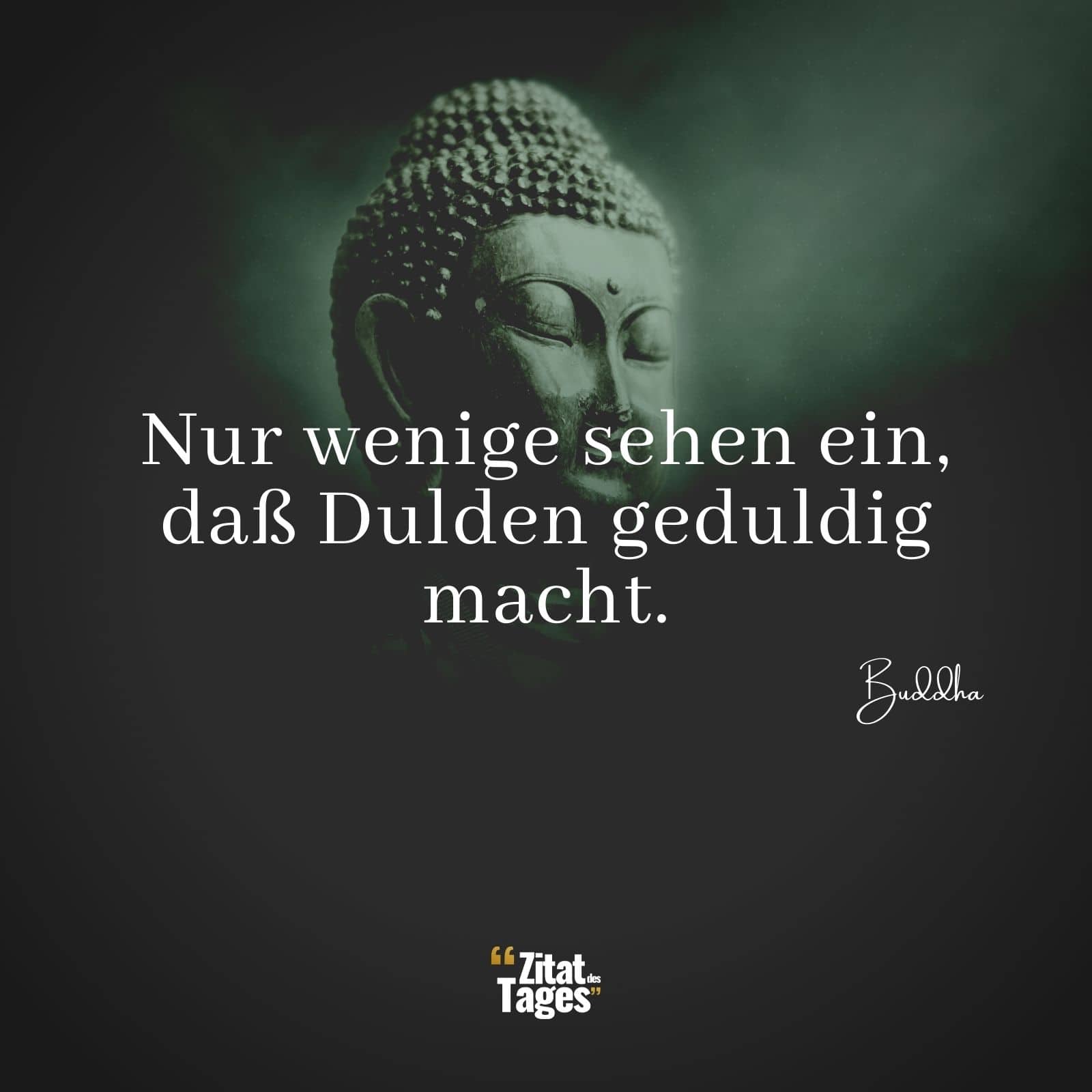 Nur wenige sehen ein, daß Dulden geduldig macht. - Buddha
