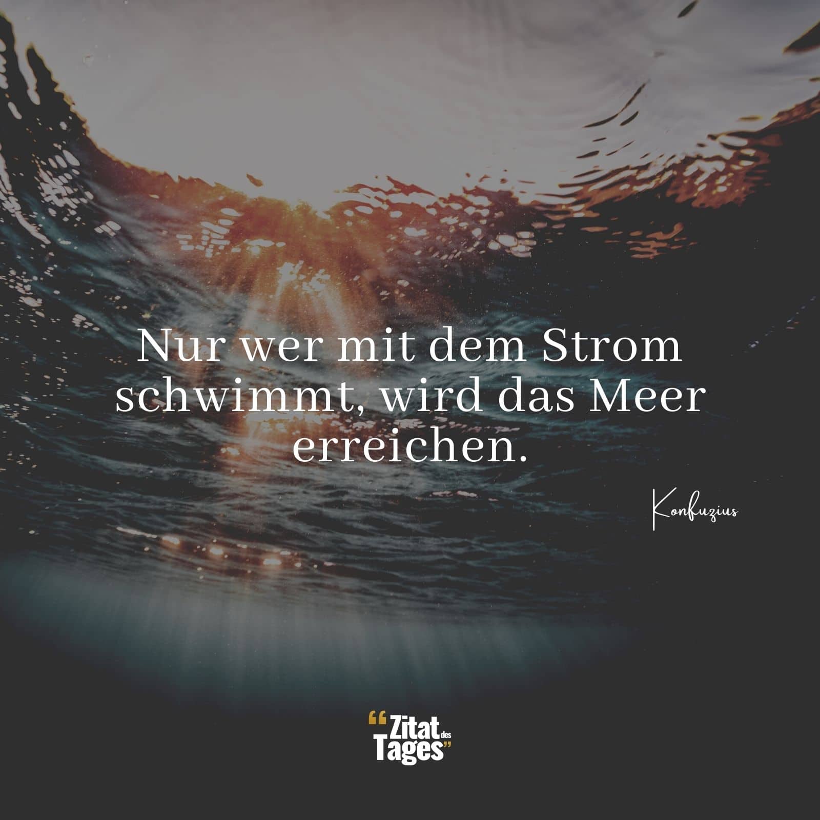 Nur wer mit dem Strom schwimmt, wird das Meer erreichen. - Konfuzius