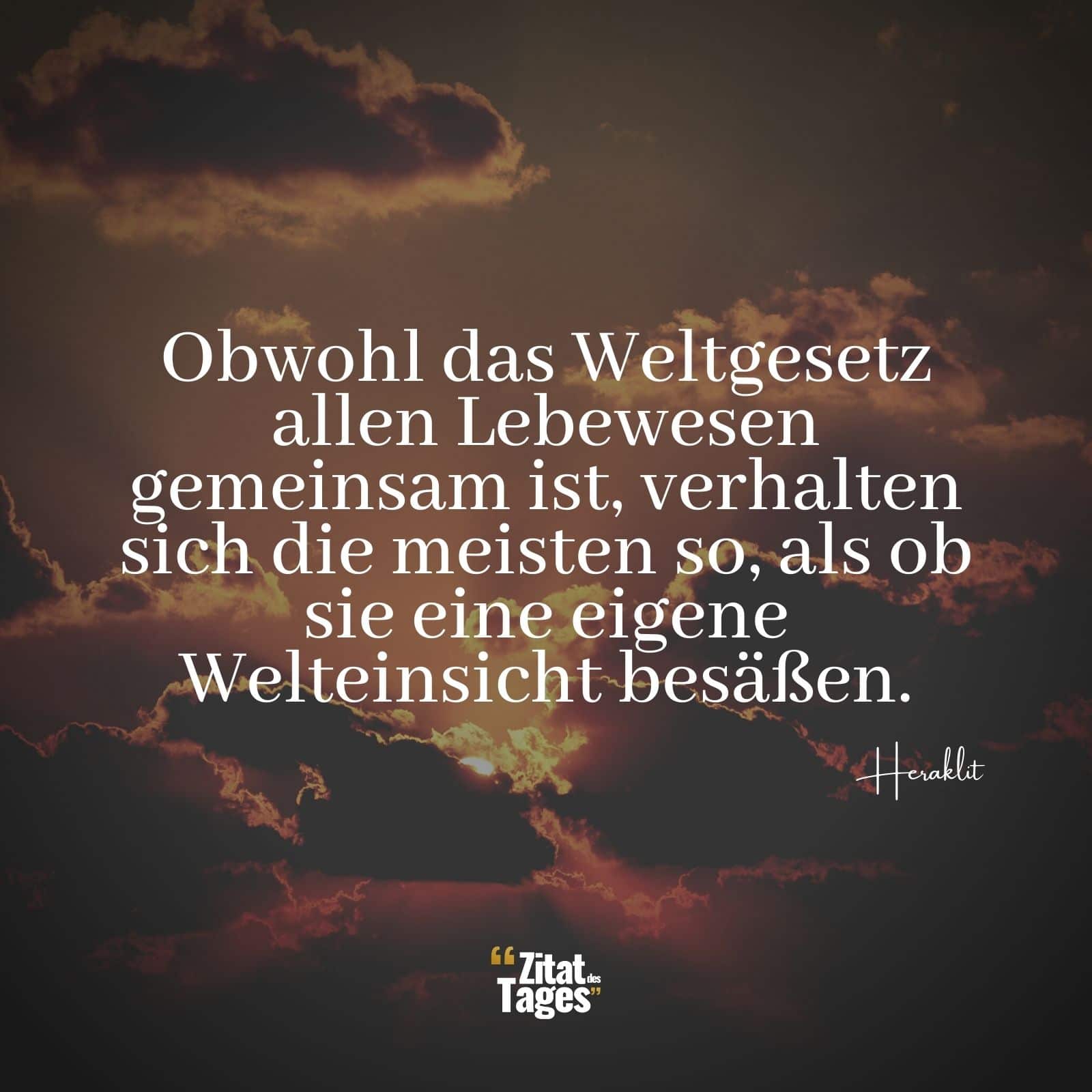 Obwohl das Weltgesetz allen Lebewesen gemeinsam ist, verhalten sich die meisten so, als ob sie eine eigene Welteinsicht besäßen. - Heraklit