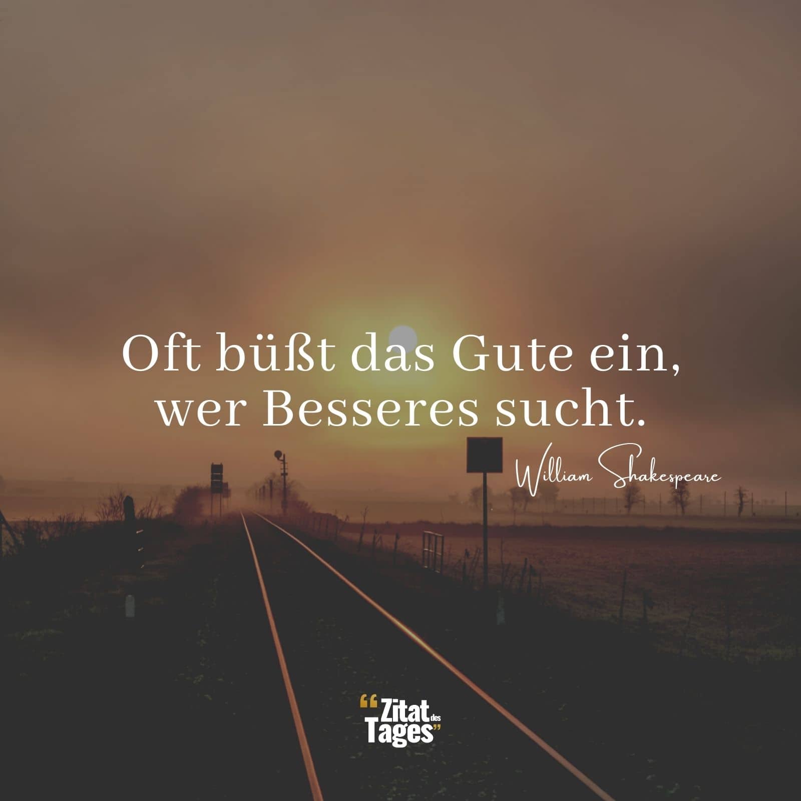 Oft büßt das Gute ein, wer Besseres sucht. - William Shakespeare