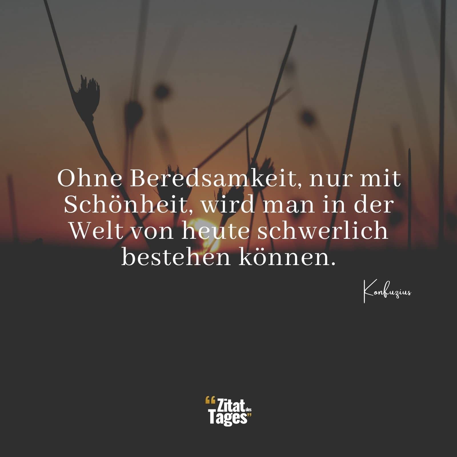 Ohne Beredsamkeit, nur mit Schönheit, wird man in der Welt von heute schwerlich bestehen können. - Konfuzius