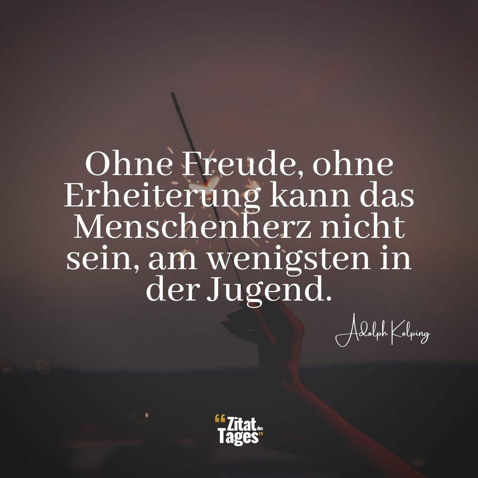 Ohne Freude, ohne Erheiterung kann das Menschenherz nicht sein, am wenigsten in der Jugend. - Adolph Kolping