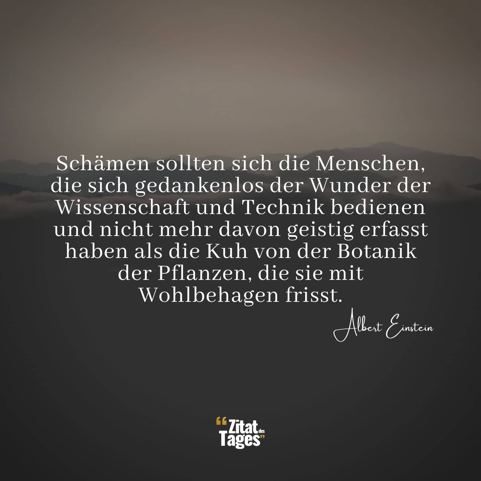 Schämen sollten sich die Menschen, die sich gedankenlos der Wunder der Wissenschaft und Technik bedienen und nicht mehr davon geistig erfasst haben als die Kuh von der Botanik der Pflanzen, die sie mit Wohlbehagen frisst. - Albert Einstein