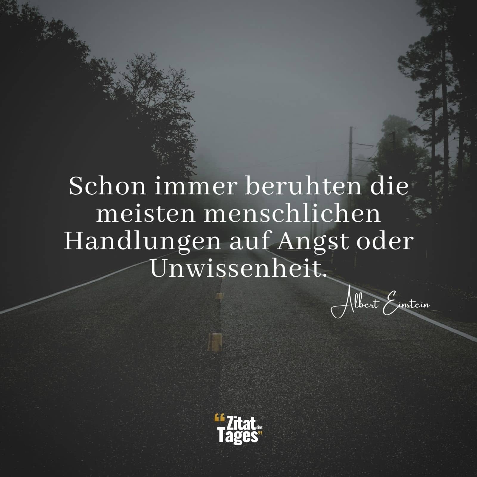 Schon immer beruhten die meisten menschlichen Handlungen auf Angst oder Unwissenheit. - Albert Einstein