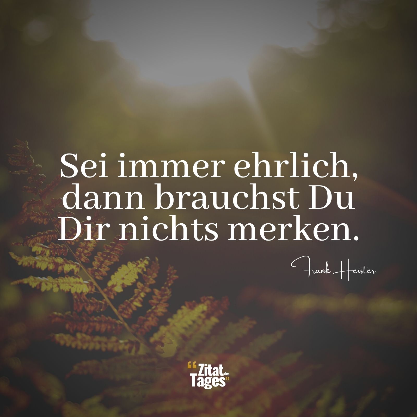 Sei immer ehrlich, dann brauchst Du Dir nichts merken. - Frank Heister