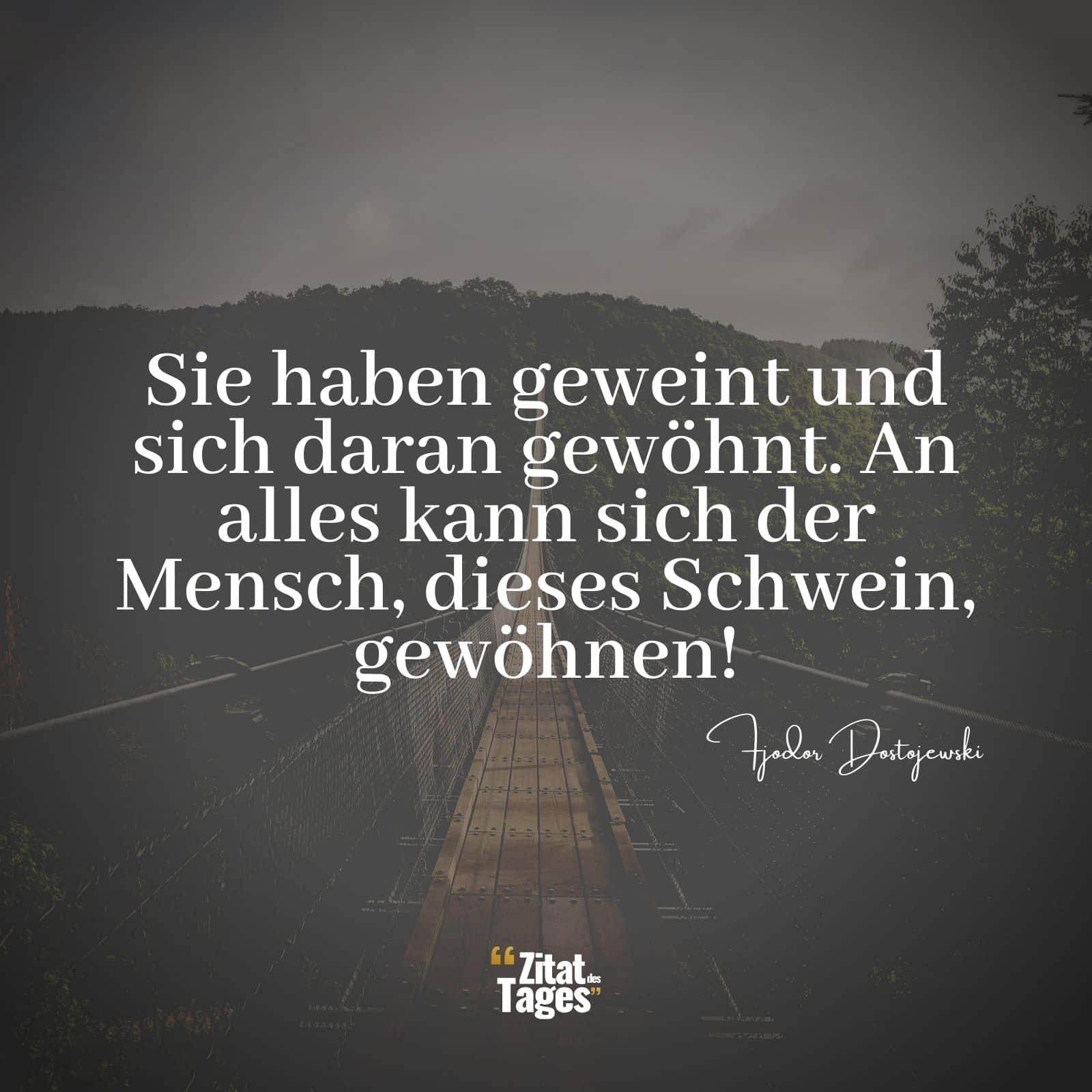 Sie haben geweint und sich daran gewöhnt. An alles kann sich der Mensch, dieses Schwein, gewöhnen! - Fjodor Dostojewski