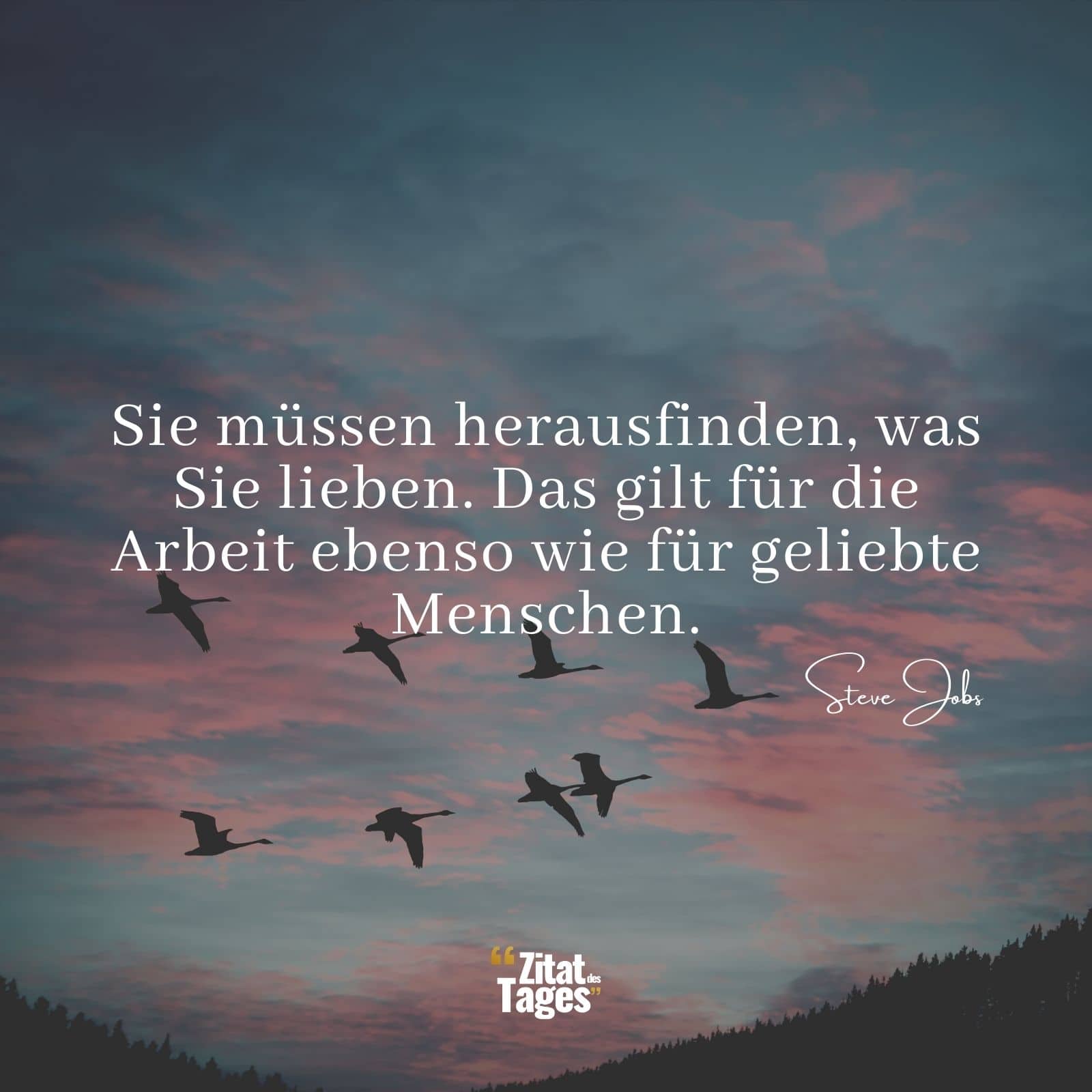 Sie müssen herausfinden, was Sie lieben. Das gilt für die Arbeit ebenso wie für geliebte Menschen. - Steve Jobs