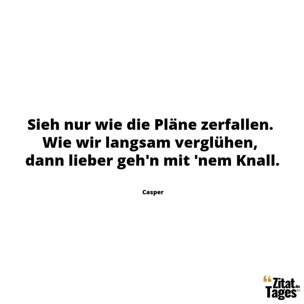 Sieh nur wie die Pläne zerfallen. Wie wir langsam verglühen, dann lieber geh'n mit 'nem Knall. - Casper