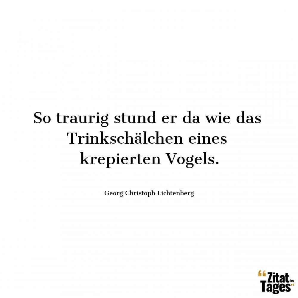 So traurig stund er da wie das Trinkschälchen eines krepierten Vogels. - Georg Christoph Lichtenberg