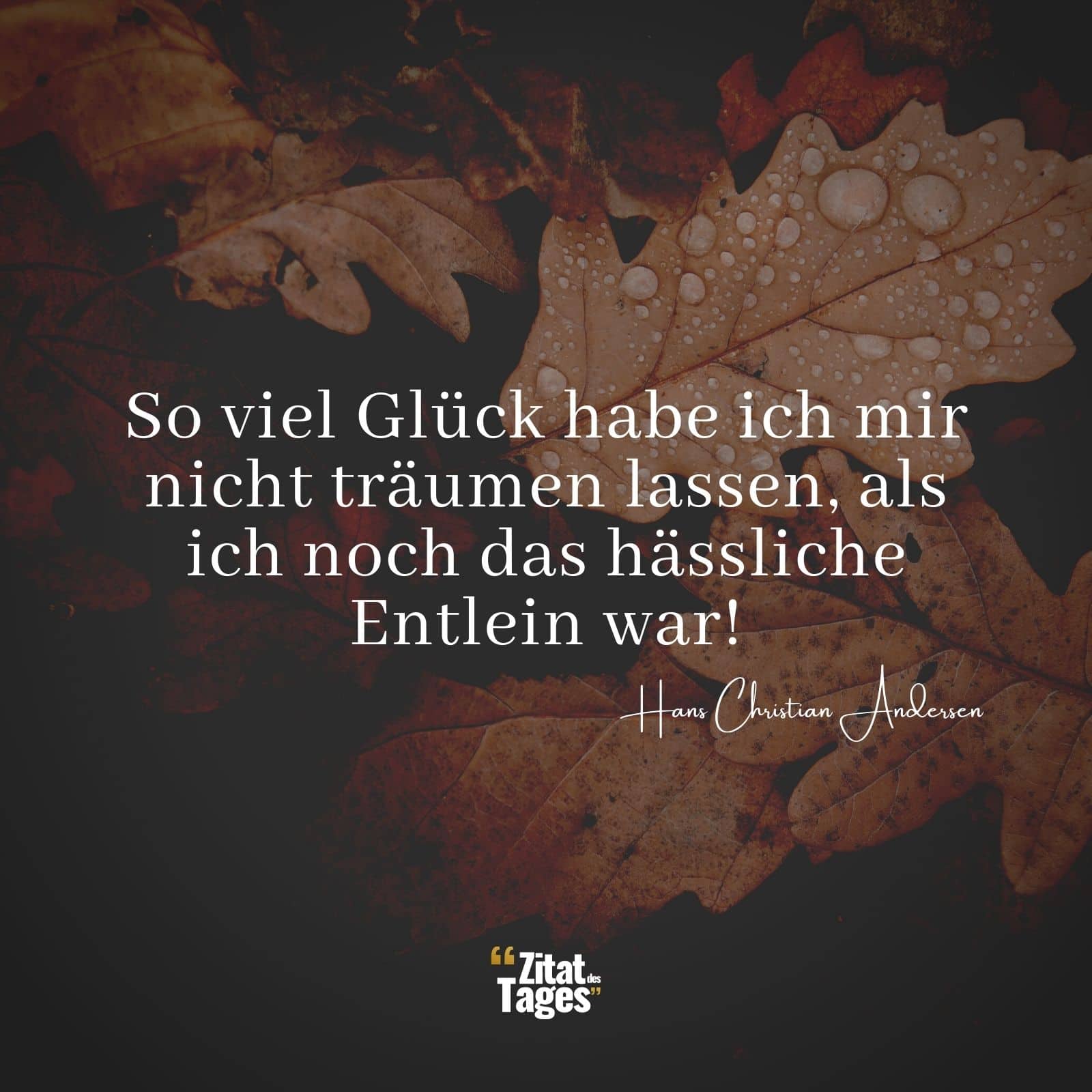 So viel Glück habe ich mir nicht träumen lassen, als ich noch das hässliche Entlein war! - Hans Christian Andersen