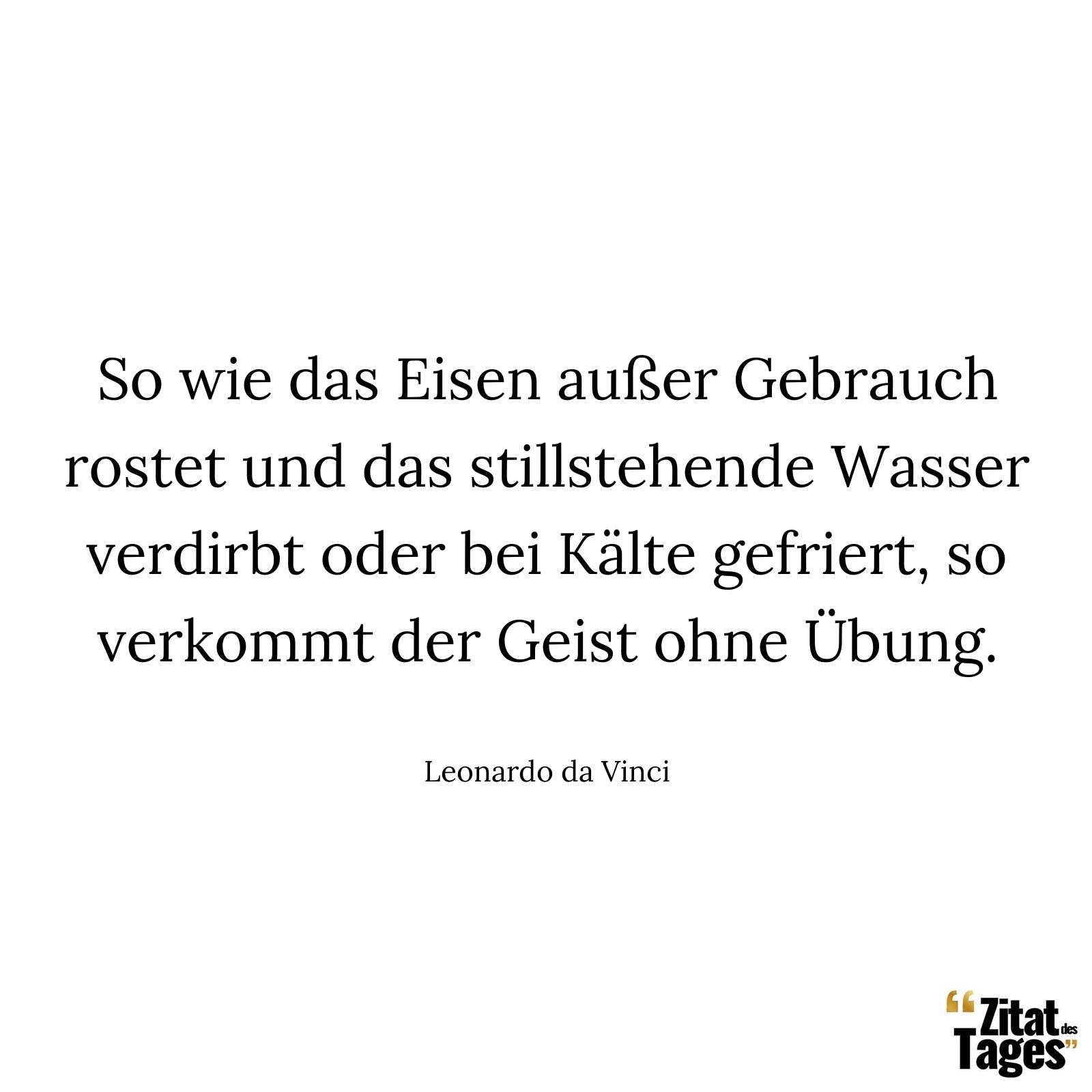 So wie das Eisen außer Gebrauch rostet und das stillstehende Wasser verdirbt oder bei Kälte gefriert, so verkommt der Geist ohne Übung. - Leonardo da Vinci