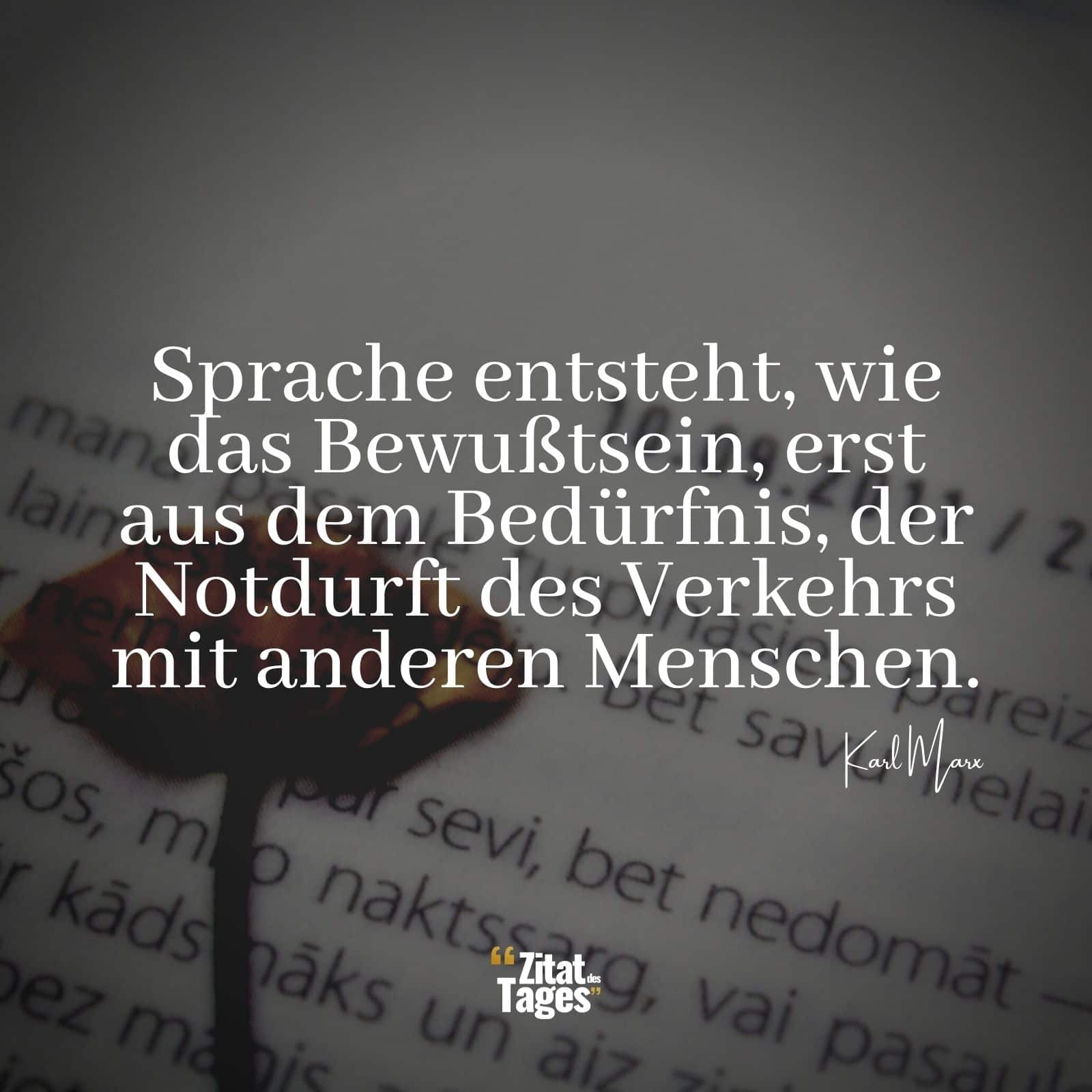 Sprache entsteht, wie das Bewußtsein, erst aus dem Bedürfnis, der Notdurft des Verkehrs mit anderen Menschen. - Karl Marx