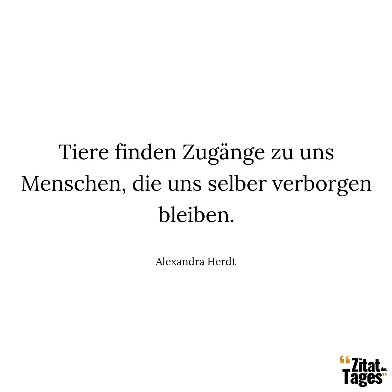 Tiere finden Zugänge zu uns Menschen, die uns selber verborgen bleiben. - Alexandra Herdt