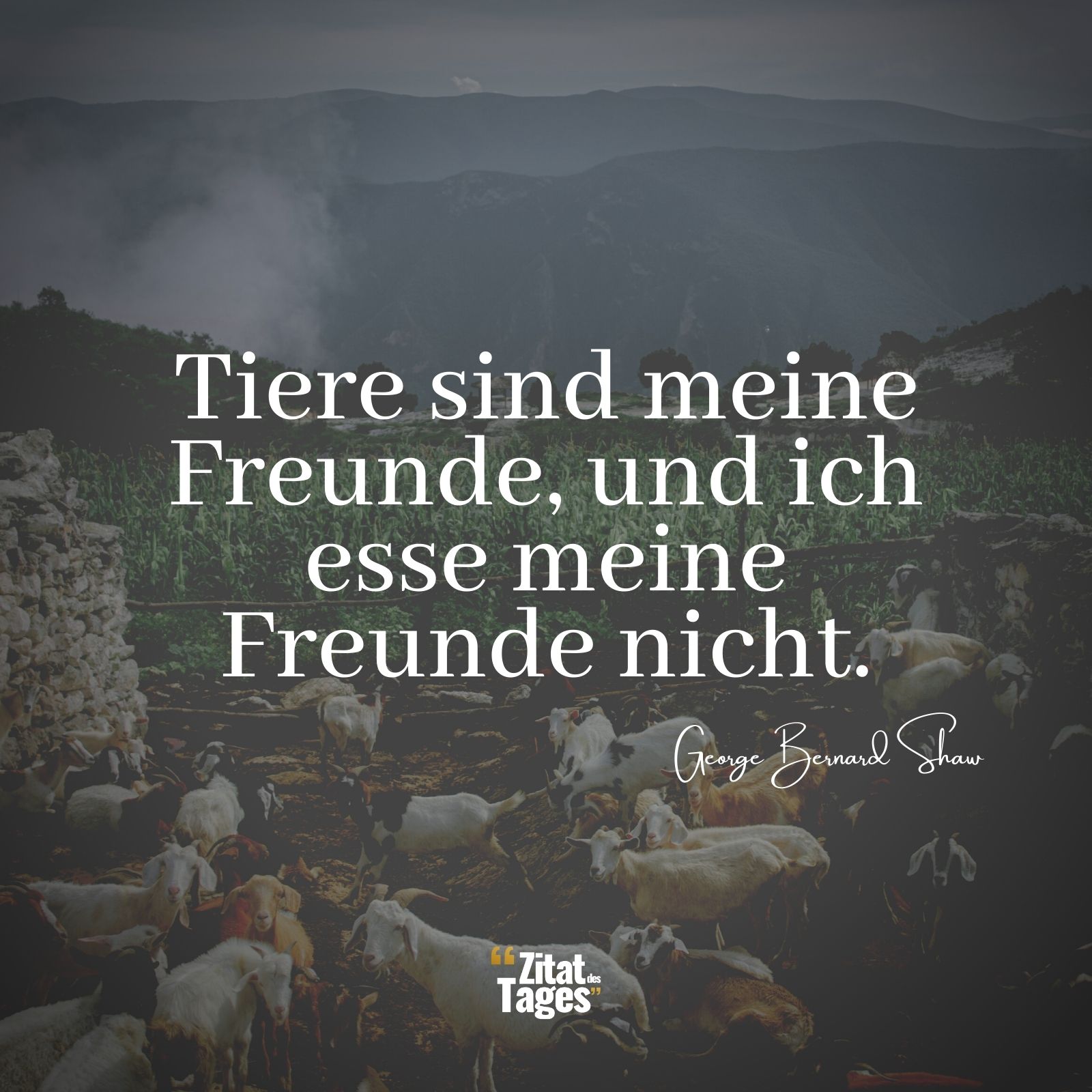 Tiere sind meine Freunde, und ich esse meine Freunde nicht. - George Bernard Shaw