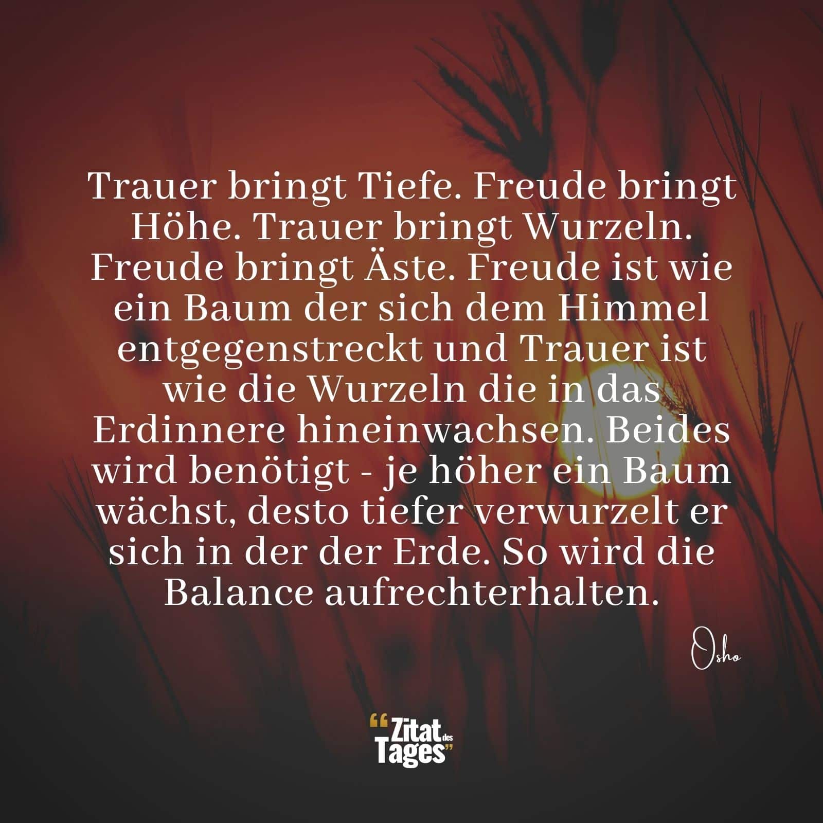 Trauer bringt Tiefe. Freude bringt Höhe. Trauer bringt Wurzeln. Freude bringt Äste. Freude ist wie ein Baum der sich dem Himmel entgegenstreckt und Trauer ist wie die Wurzeln die in das Erdinnere hineinwachsen. Beides wird benötigt - je höher ein Baum wächst, desto tiefer verwurzelt er sich in der der Erde. So wird die Balance aufrechterhalten. - Osho