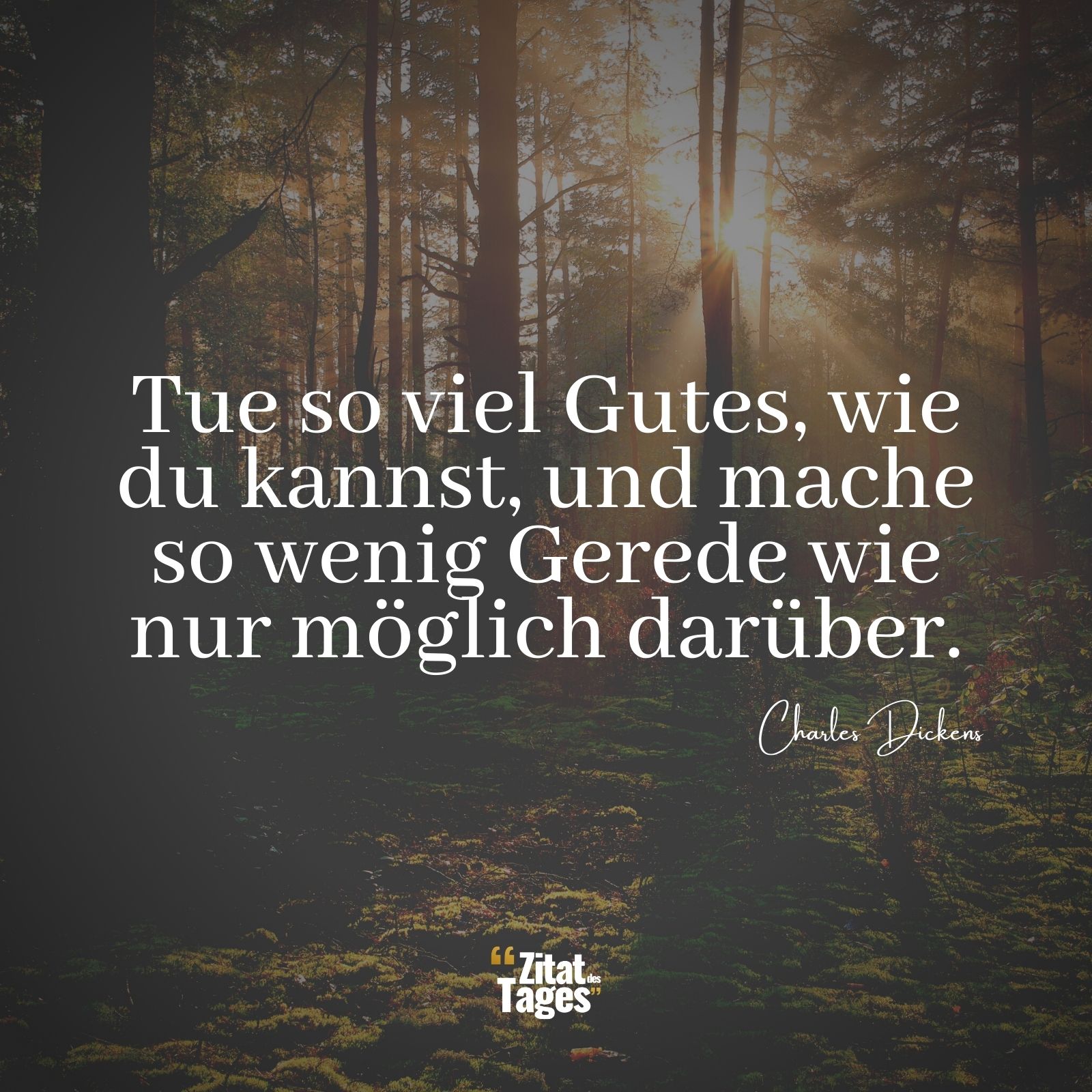 Tue so viel Gutes, wie du kannst, und mache so wenig Gerede wie nur möglich darüber. - Charles Dickens