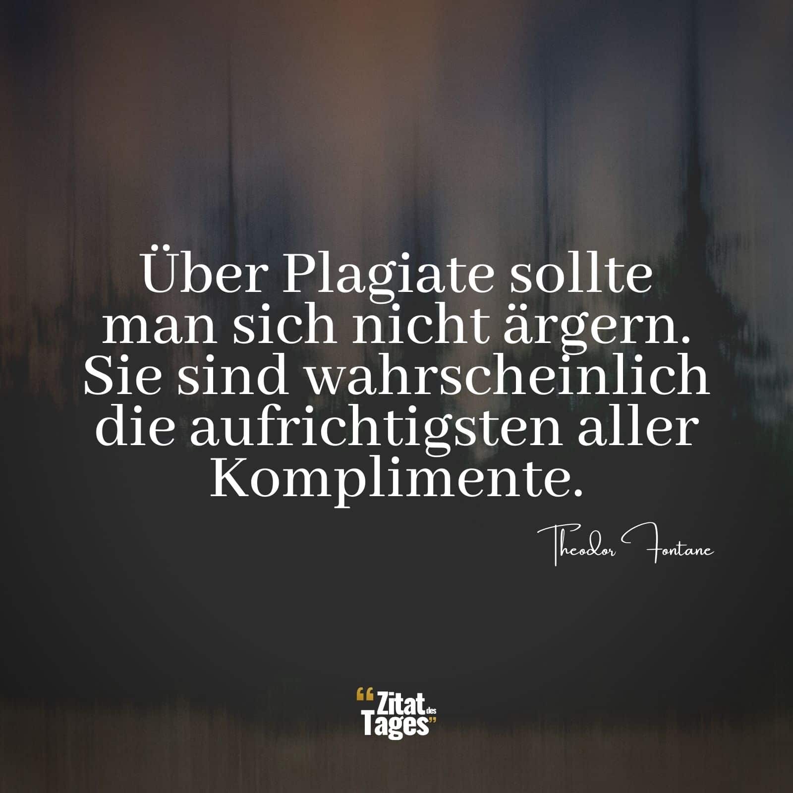 Über Plagiate sollte man sich nicht ärgern. Sie sind wahrscheinlich die aufrichtigsten aller Komplimente. - Theodor Fontane