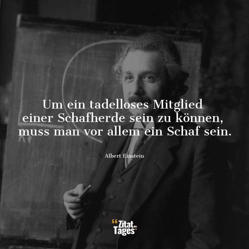 Um ein tadelloses Mitglied einer Schafherde sein zu können, muss man vor allem ein Schaf sein. - Albert Einstein