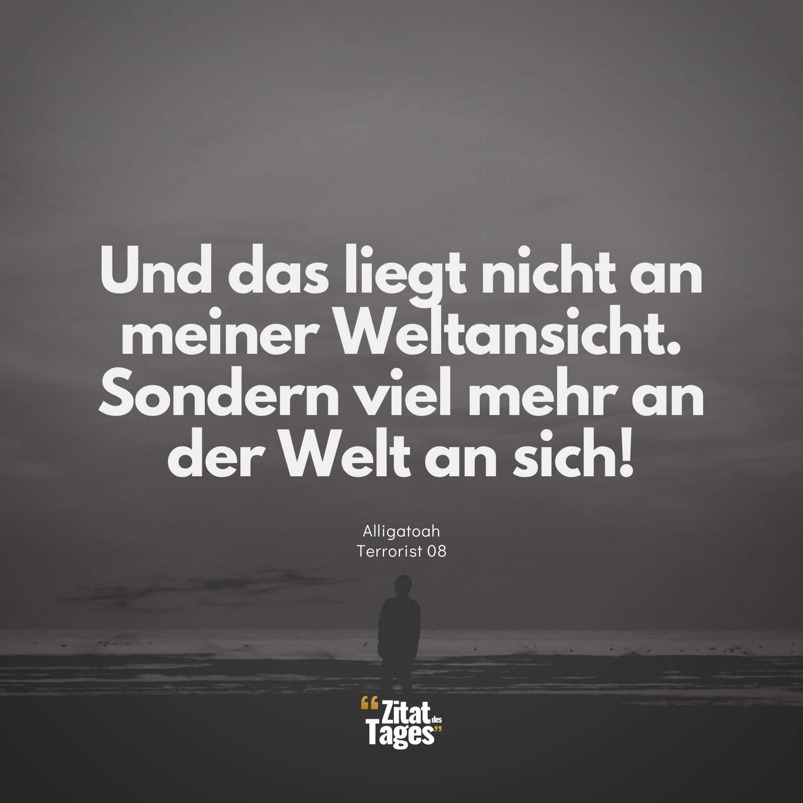 Und das liegt nicht an meiner Weltansicht. Sondern viel mehr an der Welt an sich! - Alligatoah