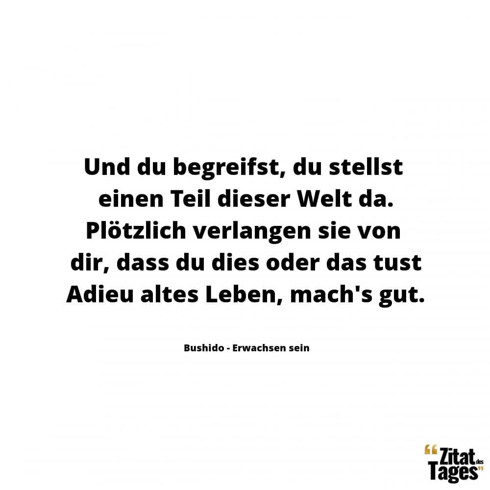 Und du begreifst, du stellst einen Teil dieser Welt da. Plötzlich verlangen sie von dir, dass du dies oder das tust Adieu altes Leben, mach's gut. - Bushido