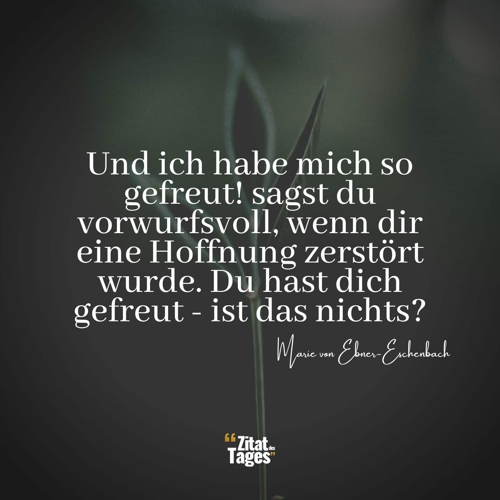 Und ich habe mich so gefreut! sagst du vorwurfsvoll, wenn dir eine Hoffnung zerstört wurde. Du hast dich gefreut - ist das nichts? - Marie von Ebner-Eschenbach