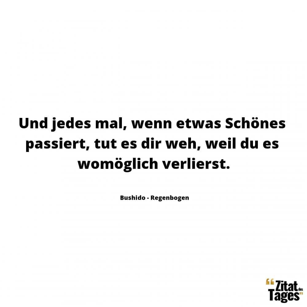 Und jedes mal, wenn etwas Schönes passiert, tut es dir weh, weil du es womöglich verlierst. - Bushido