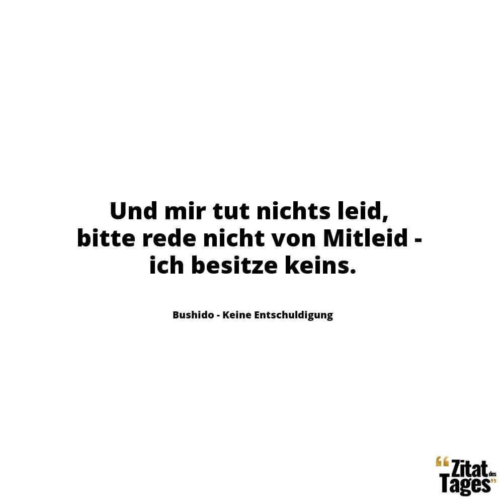 Und mir tut nichts leid, bitte rede nicht von Mitleid - ich besitze keins. - Bushido