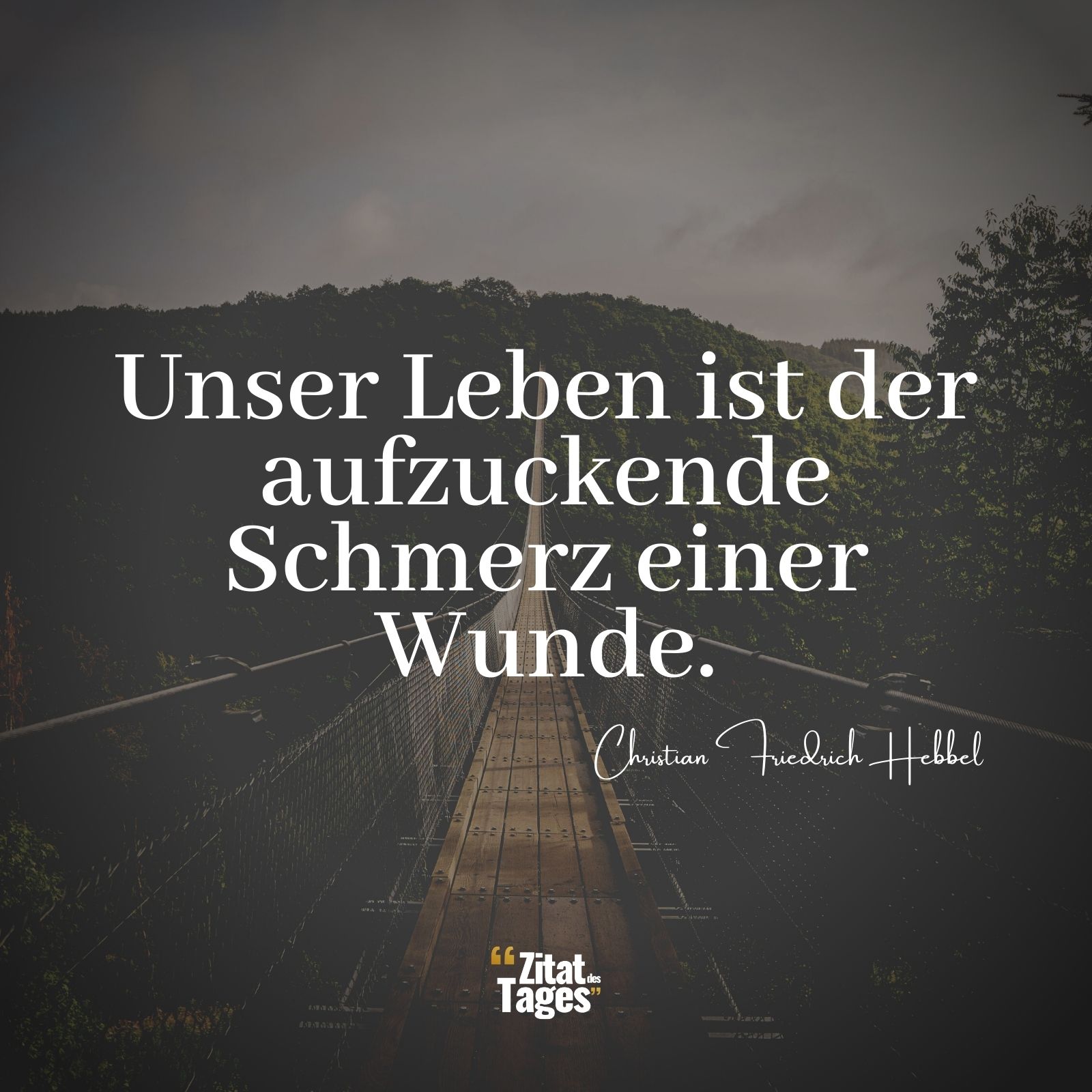 Unser Leben ist der aufzuckende Schmerz einer Wunde. - Christian Friedrich Hebbel