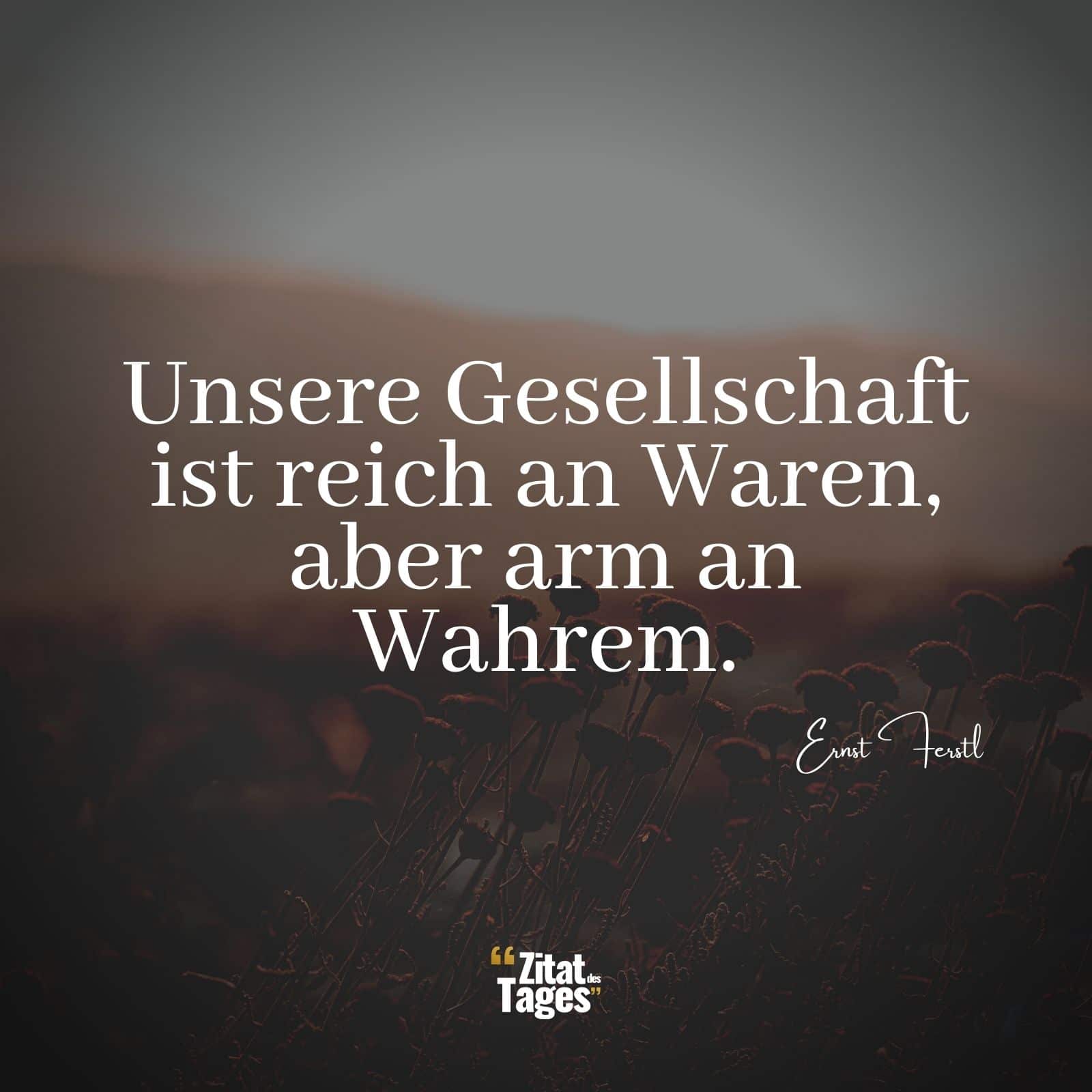 Unsere Gesellschaft ist reich an Waren, aber arm an Wahrem. - Ernst Ferstl