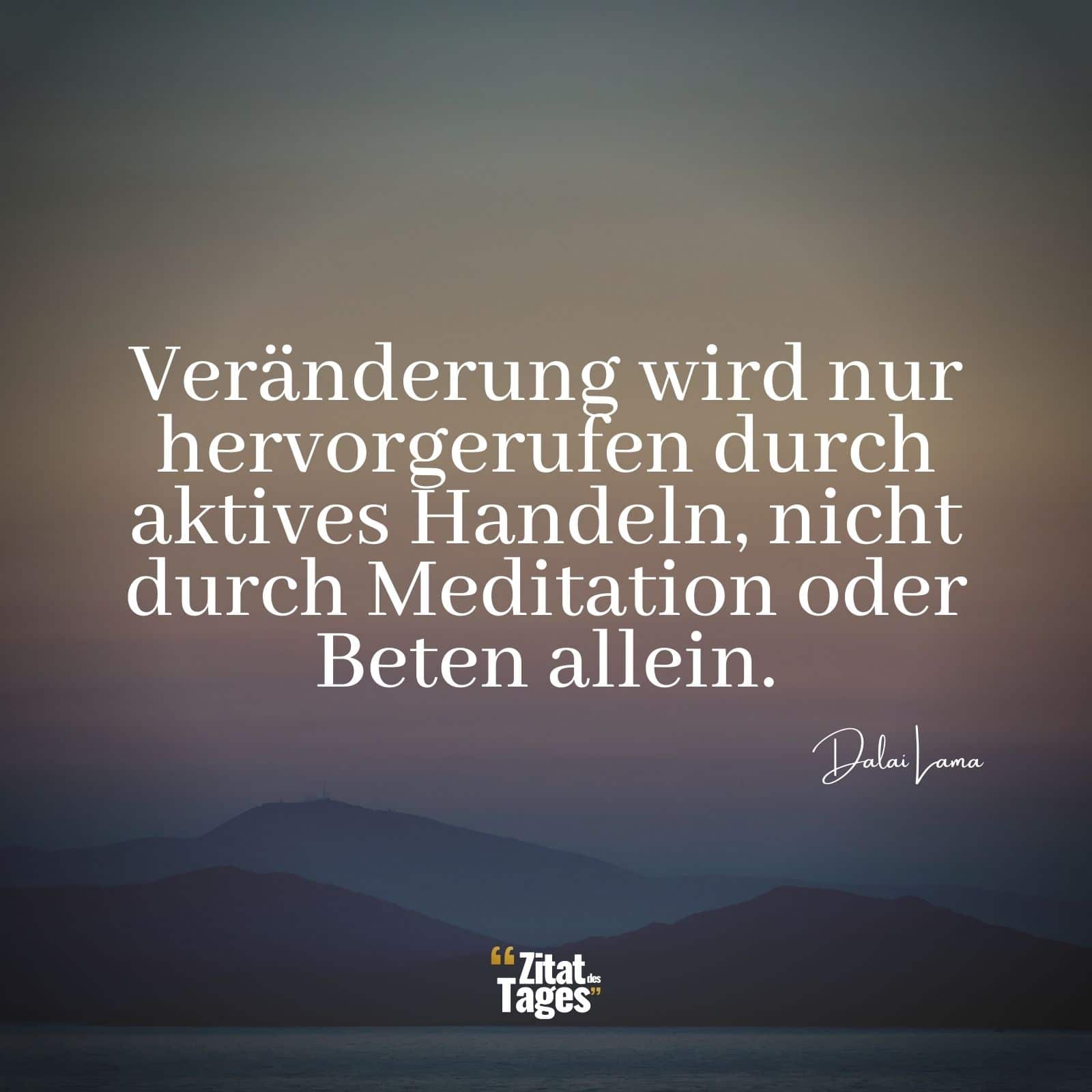 Veränderung wird nur hervorgerufen durch aktives Handeln, nicht durch Meditation oder Beten allein. - Dalai Lama