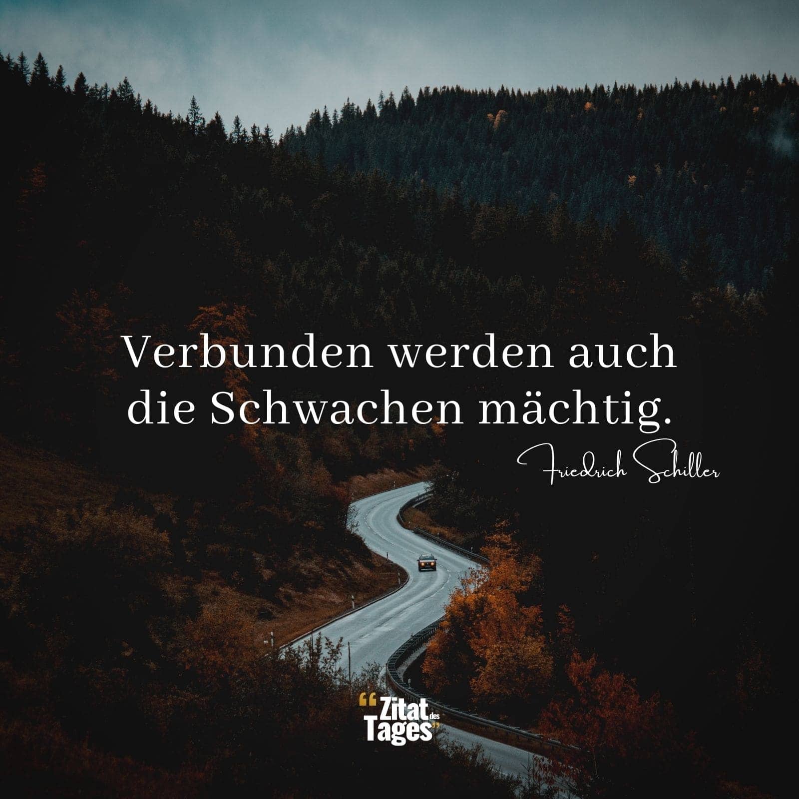 Verbunden werden auch die Schwachen mächtig. - Friedrich Schiller