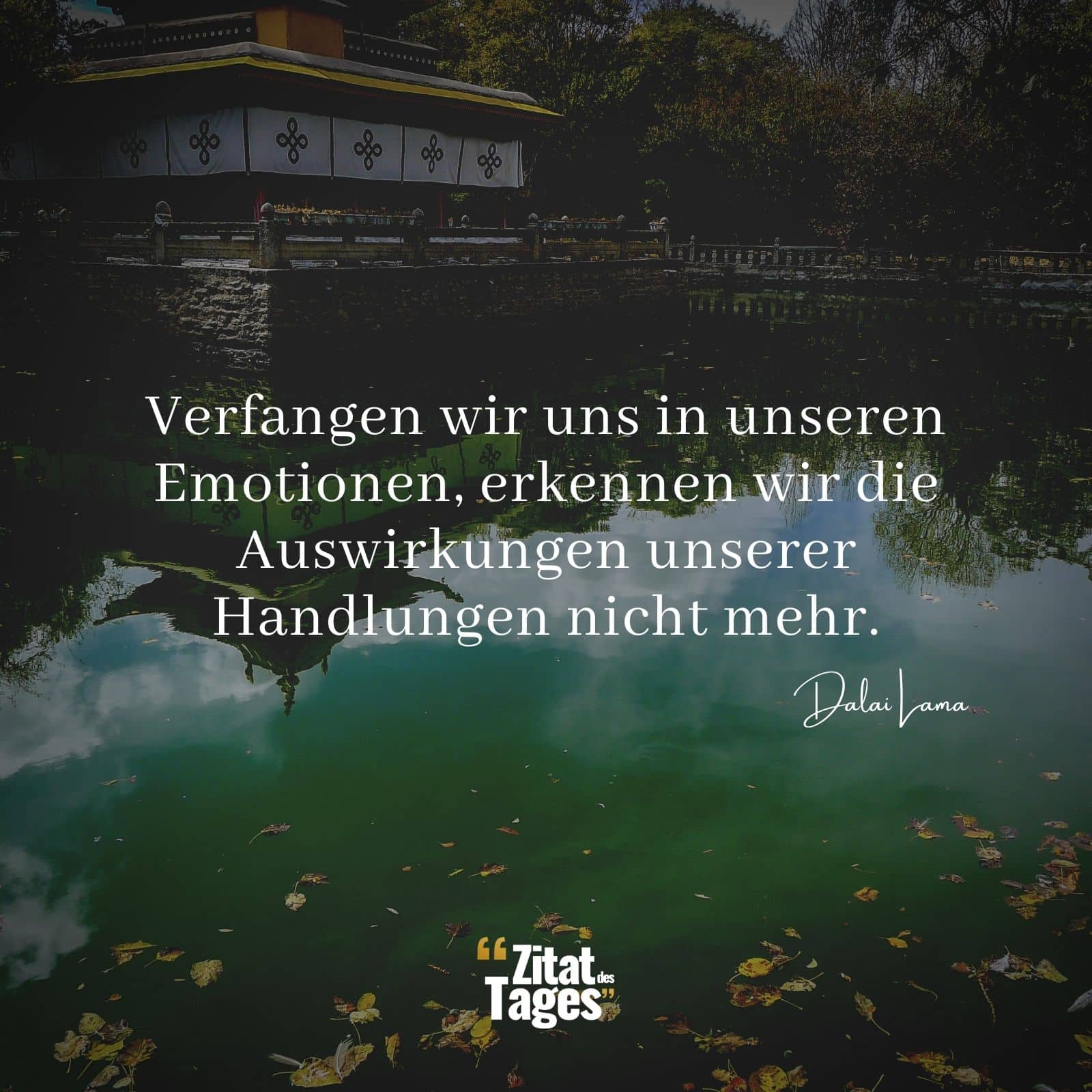 Verfangen wir uns in unseren Emotionen, erkennen wir die Auswirkungen unserer Handlungen nicht mehr. - Dalai Lama