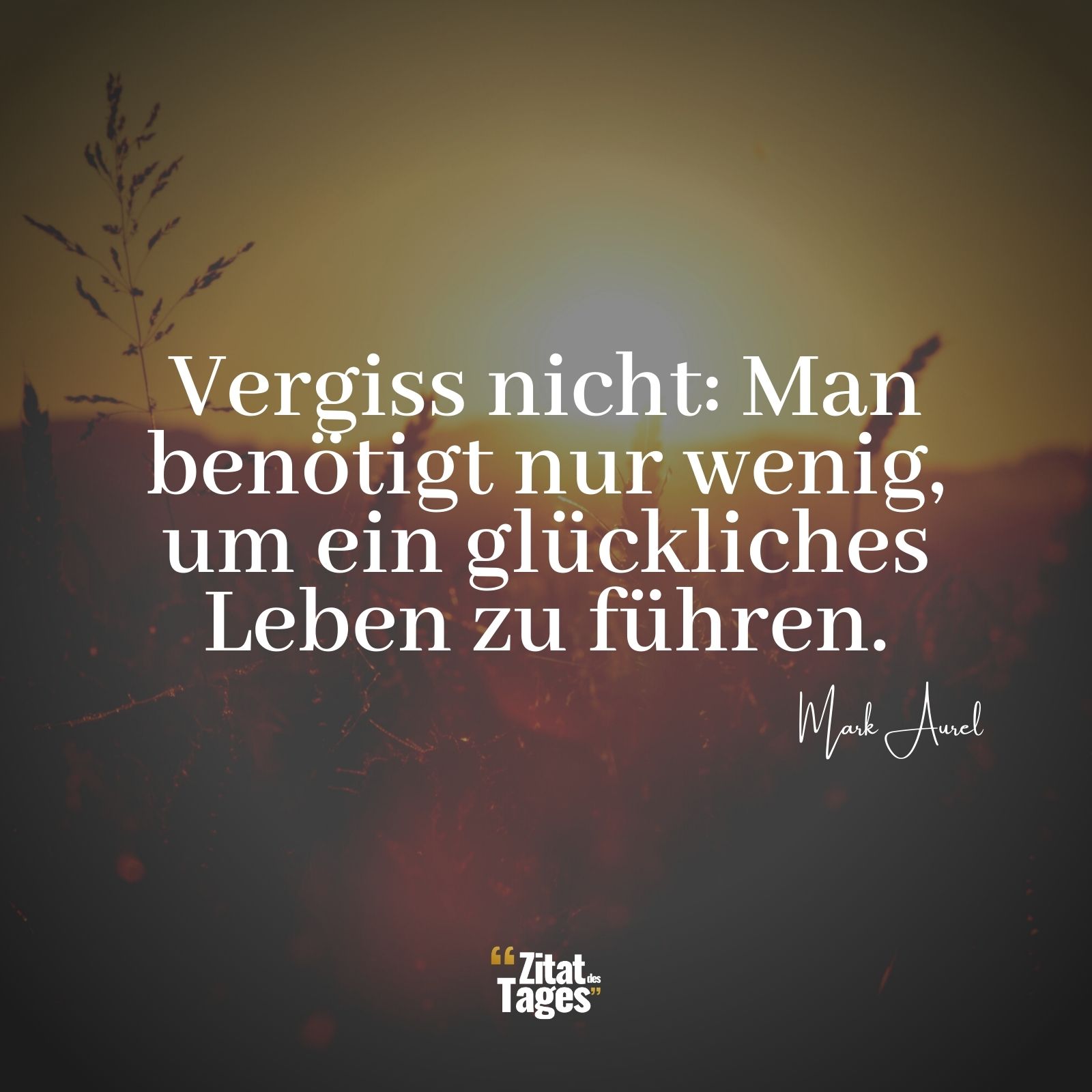 Vergiss nicht: Man benötigt nur wenig, um ein glückliches Leben zu führen. - Mark Aurel