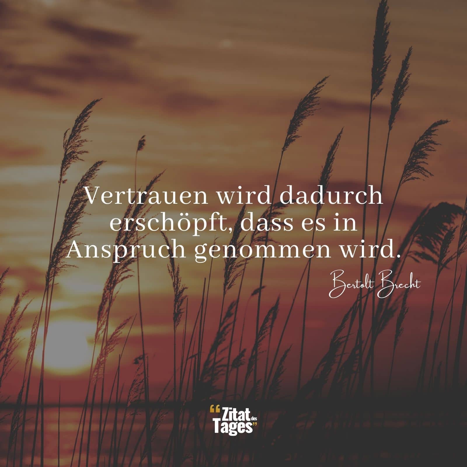 Vertrauen wird dadurch erschöpft, dass es in Anspruch genommen wird. - Bertolt Brecht