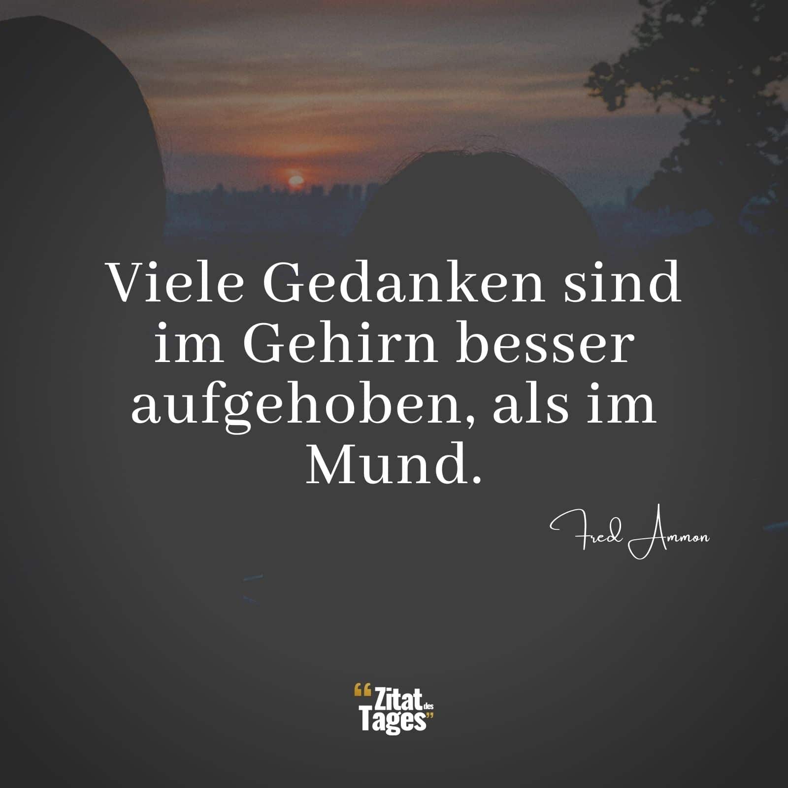 Viele Gedanken sind im Gehirn besser aufgehoben, als im Mund. - Fred Ammon